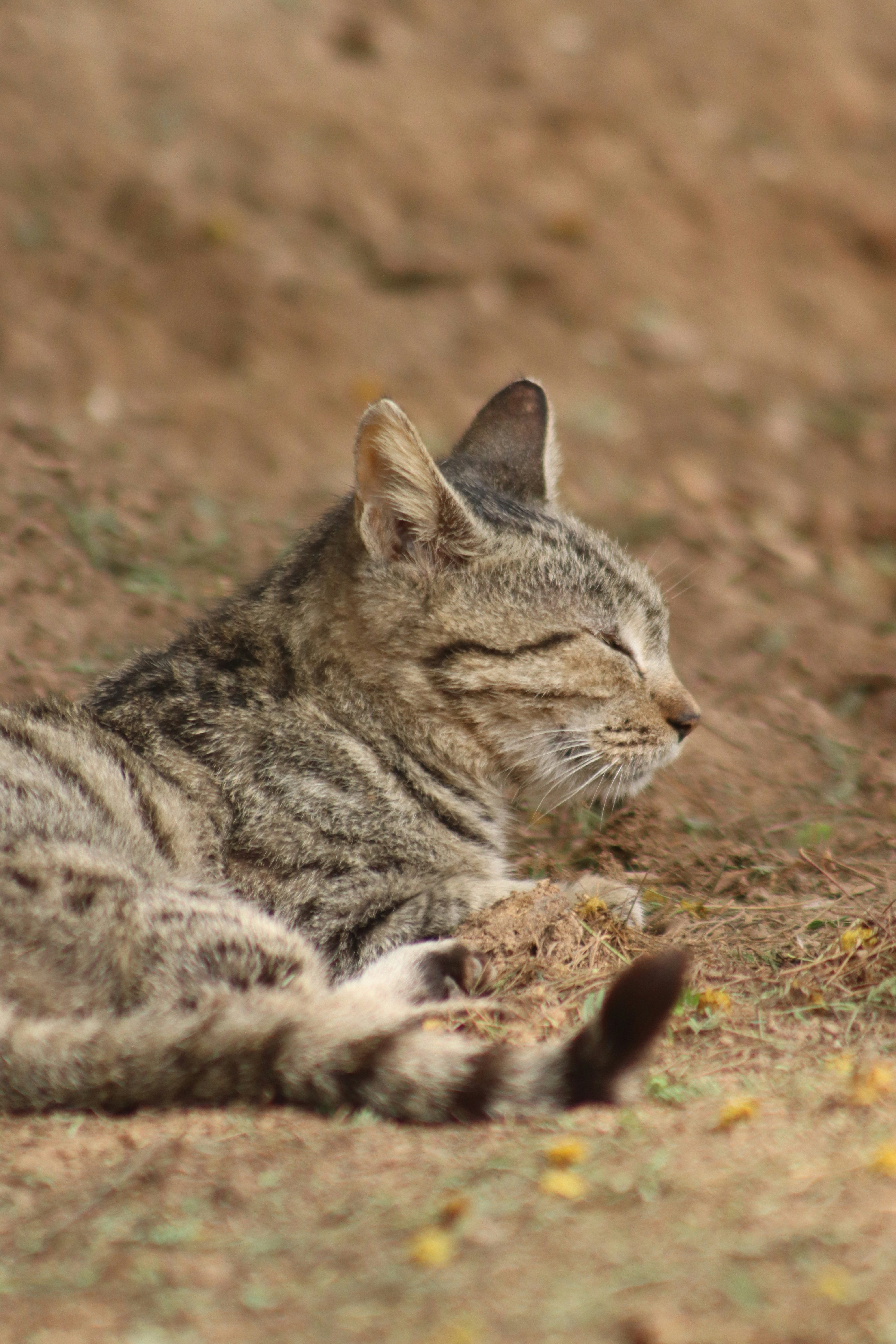 Photo by drphotographer152