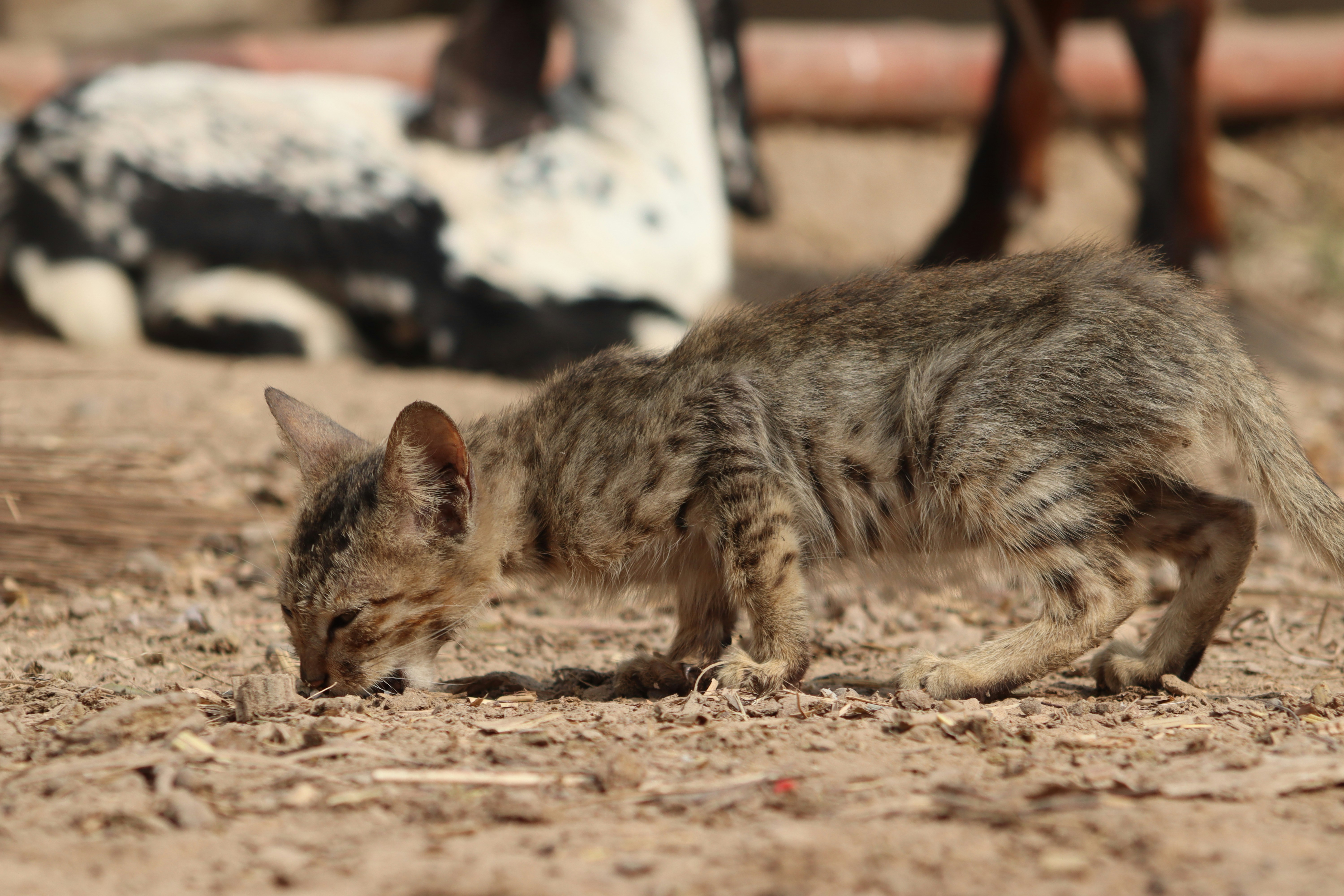 Photo by drphotographer152