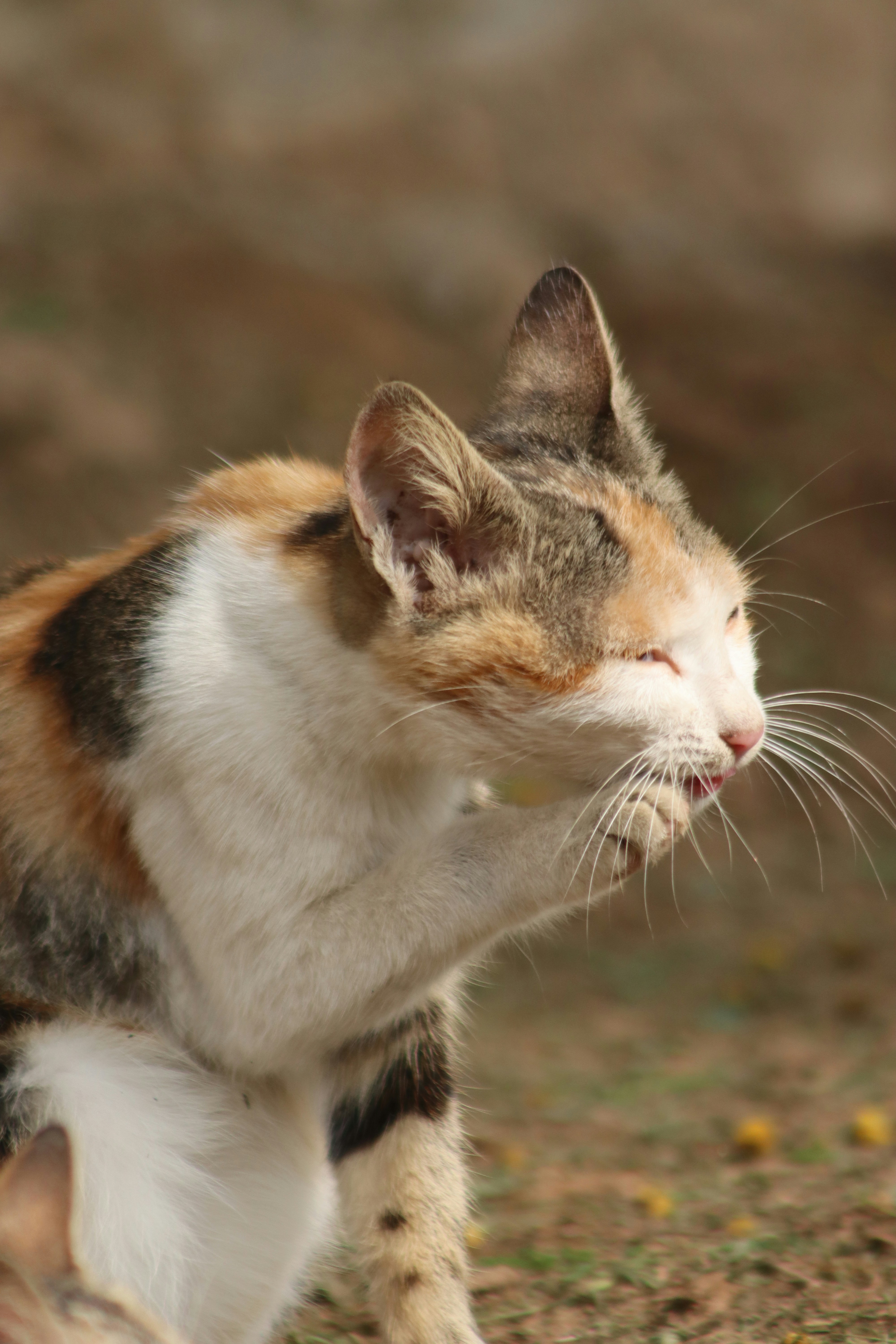 Photo by drphotographer152