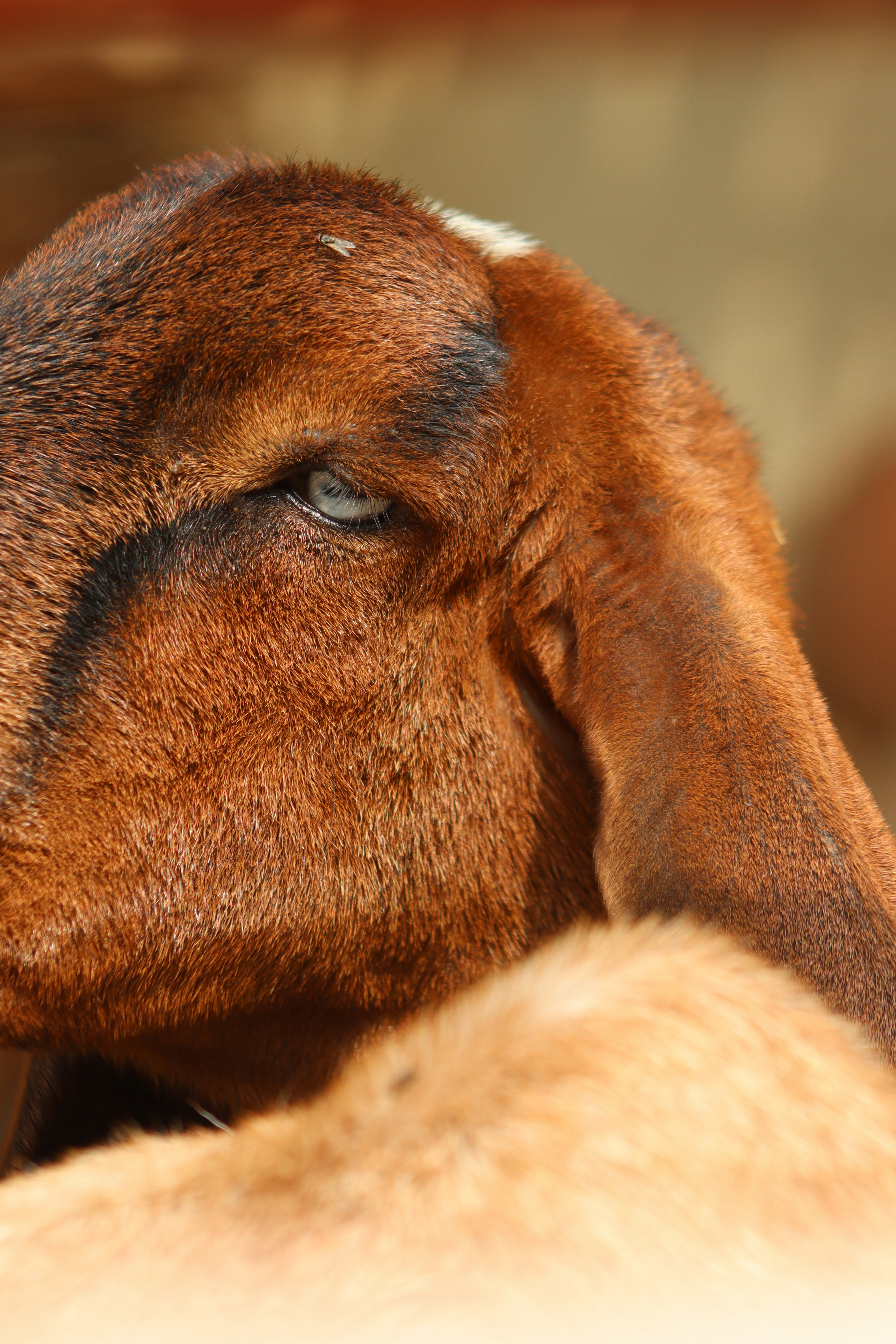 Photo by drphotographer152