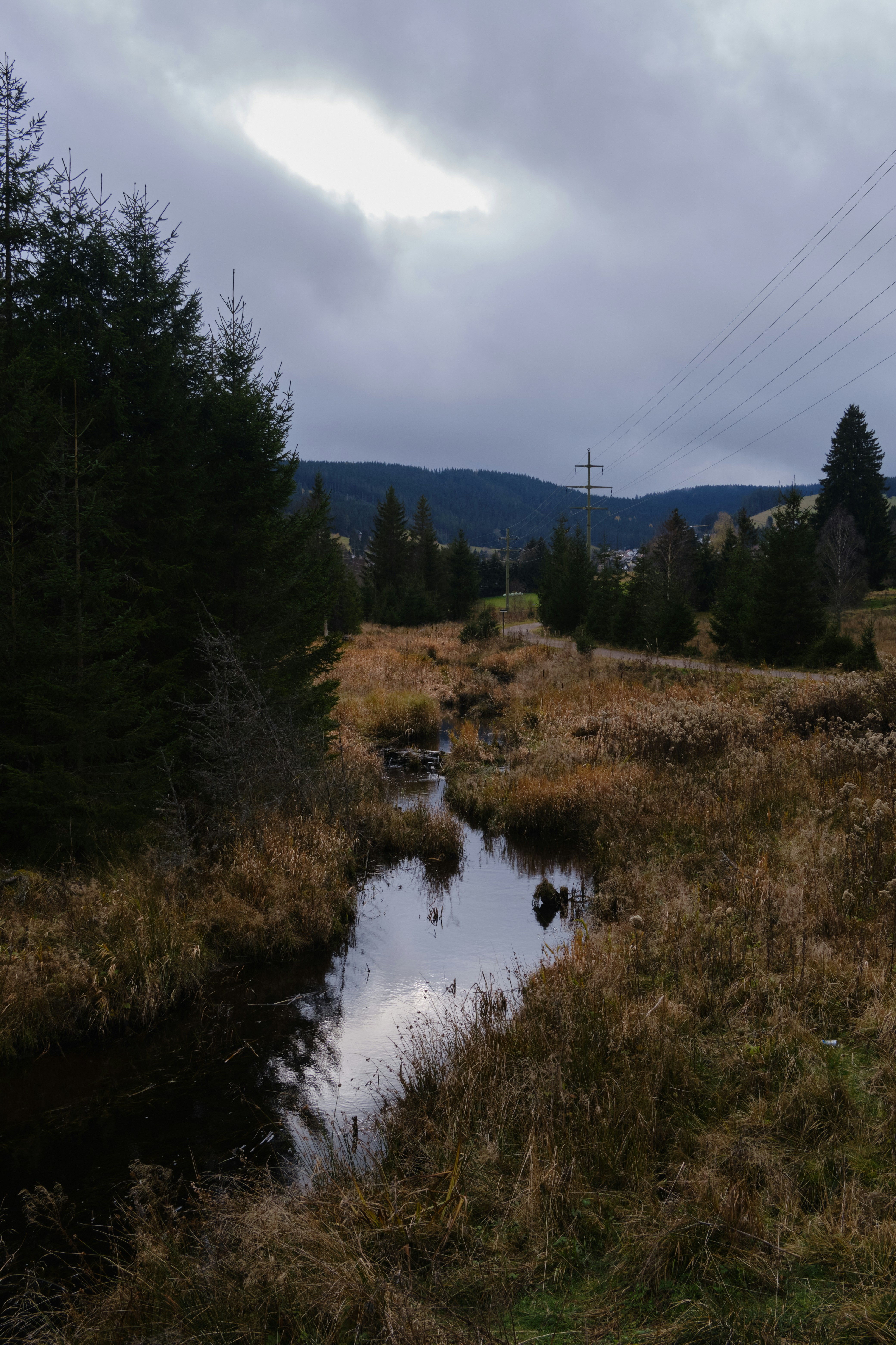 A small stream running through a grass covered field