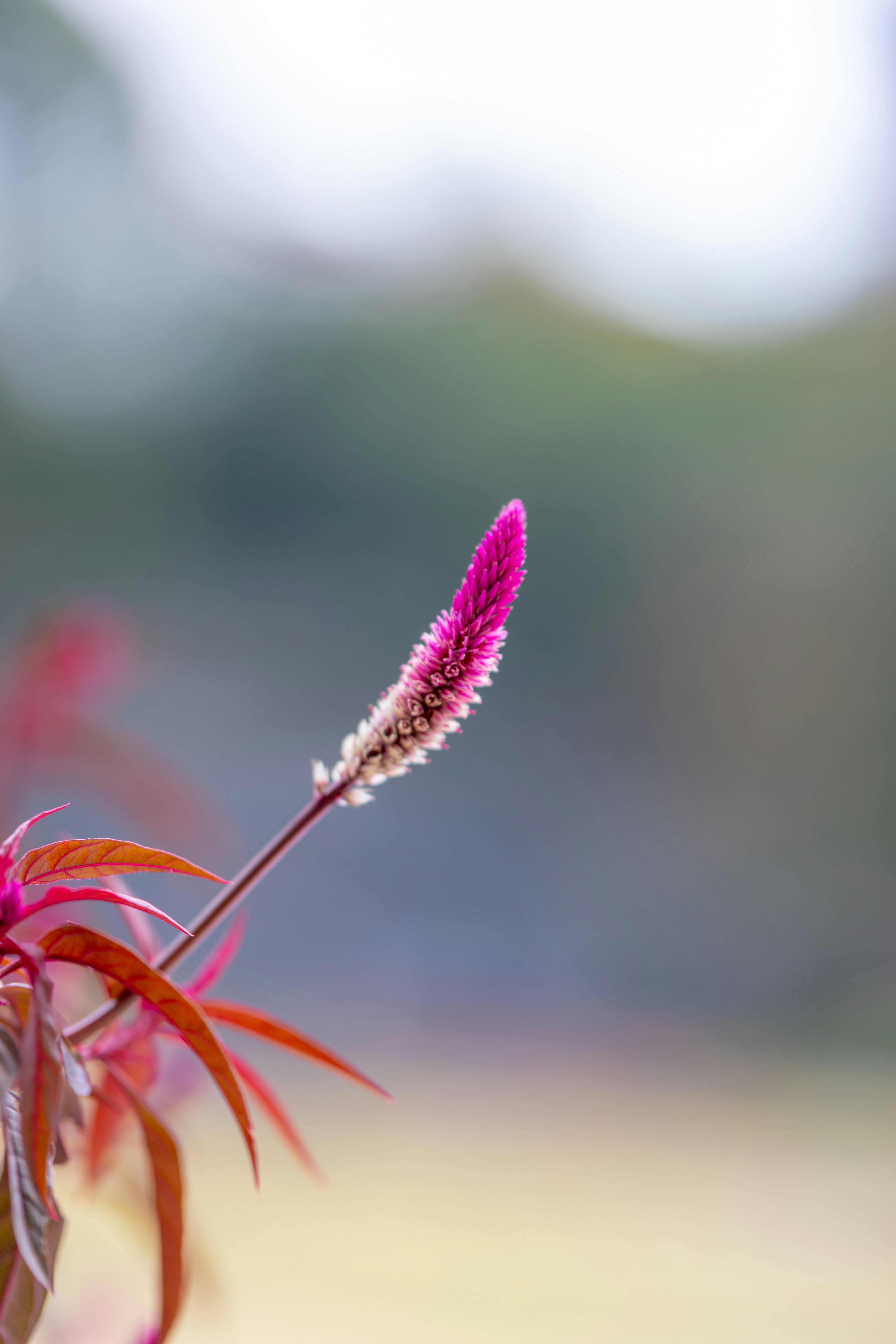 Photo by jeehoo