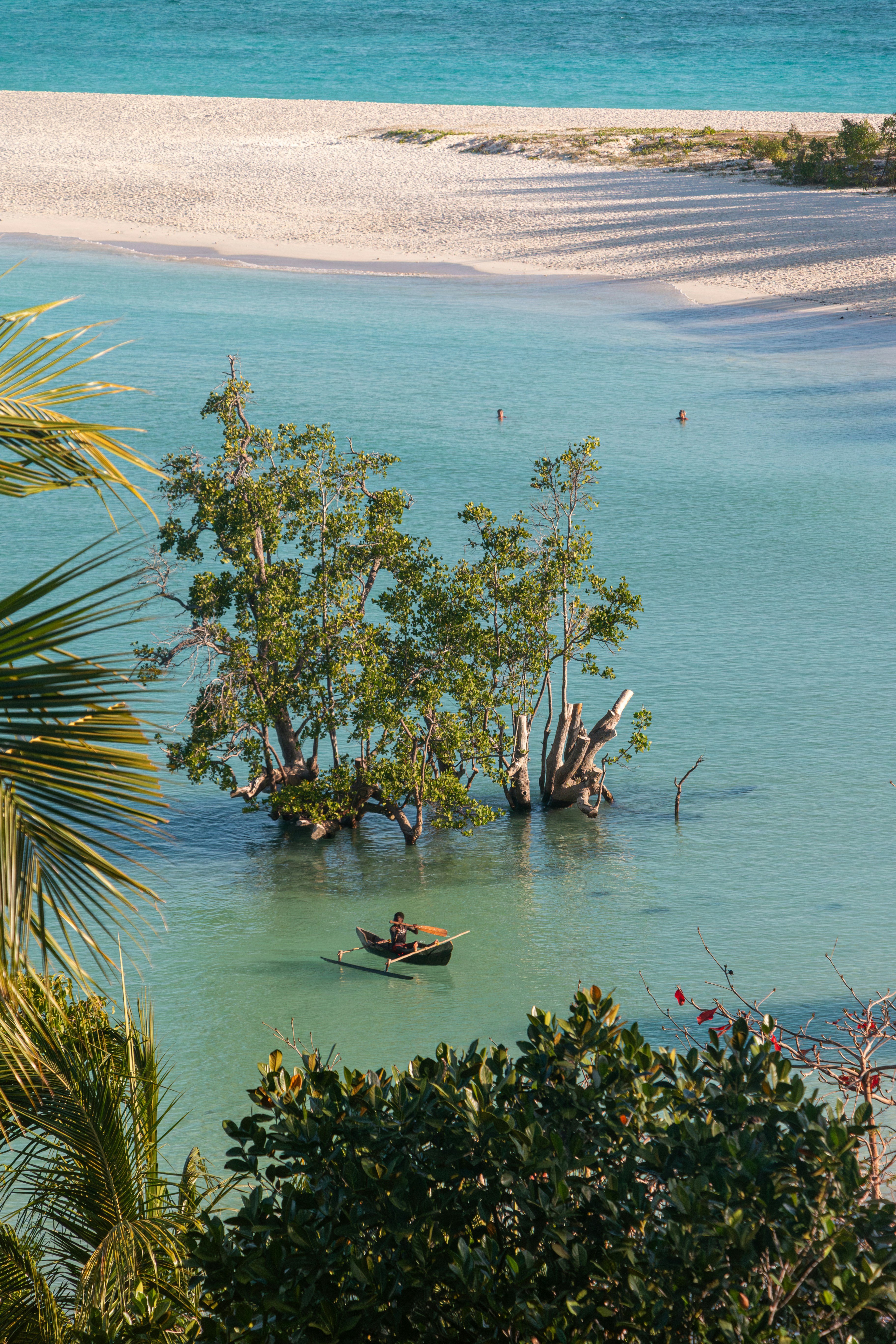 A body of water surrounded by trees and sand
