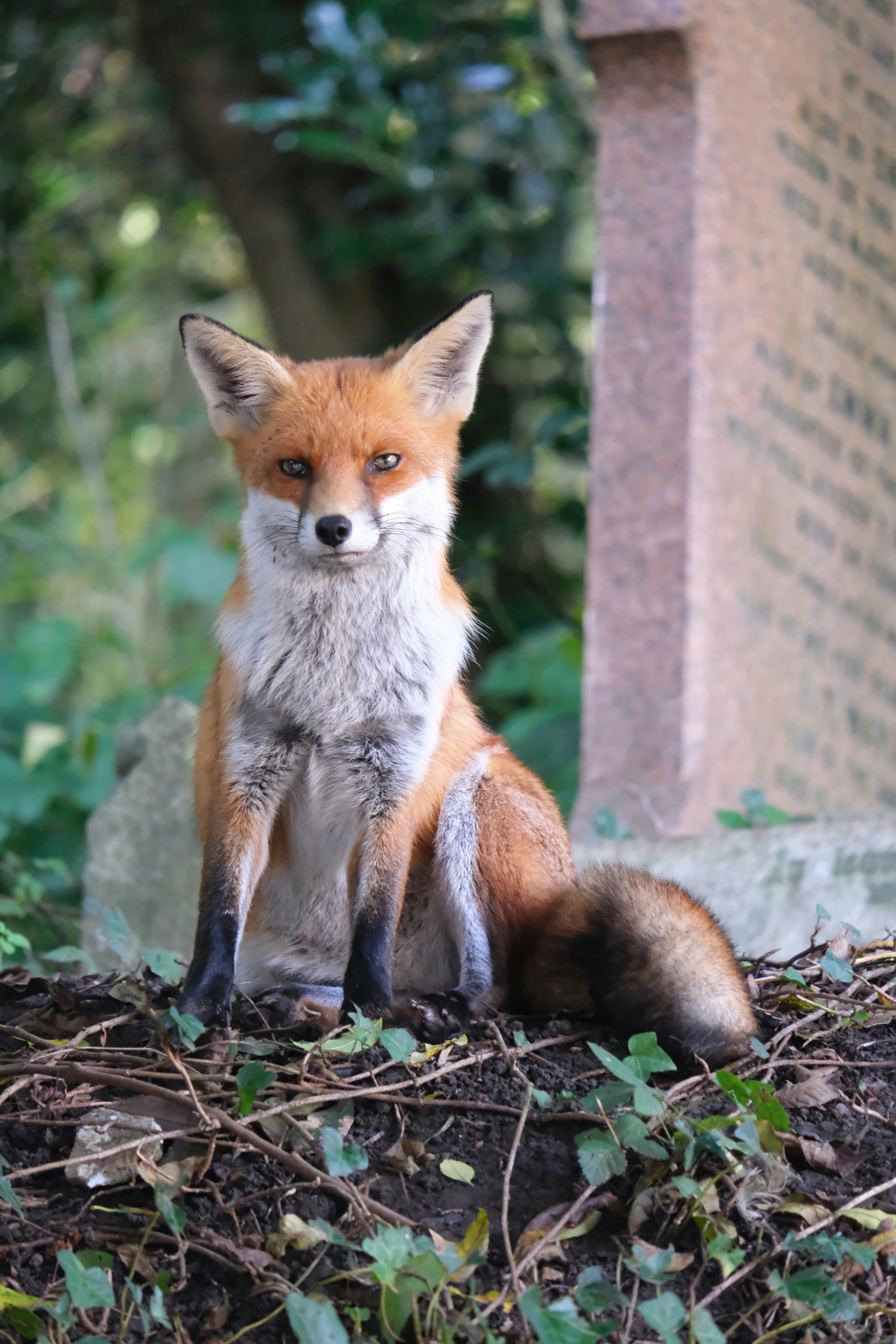 Photo by nikoverbeke