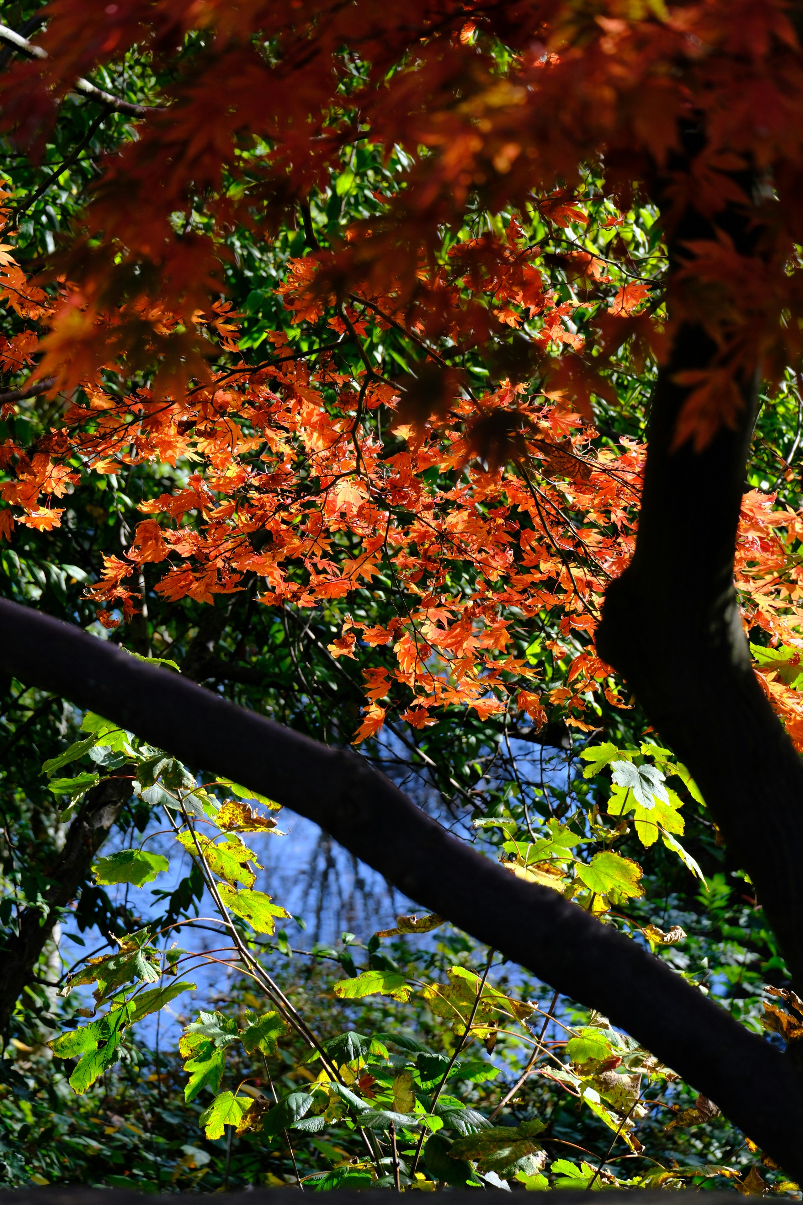 Photo by nikoverbeke