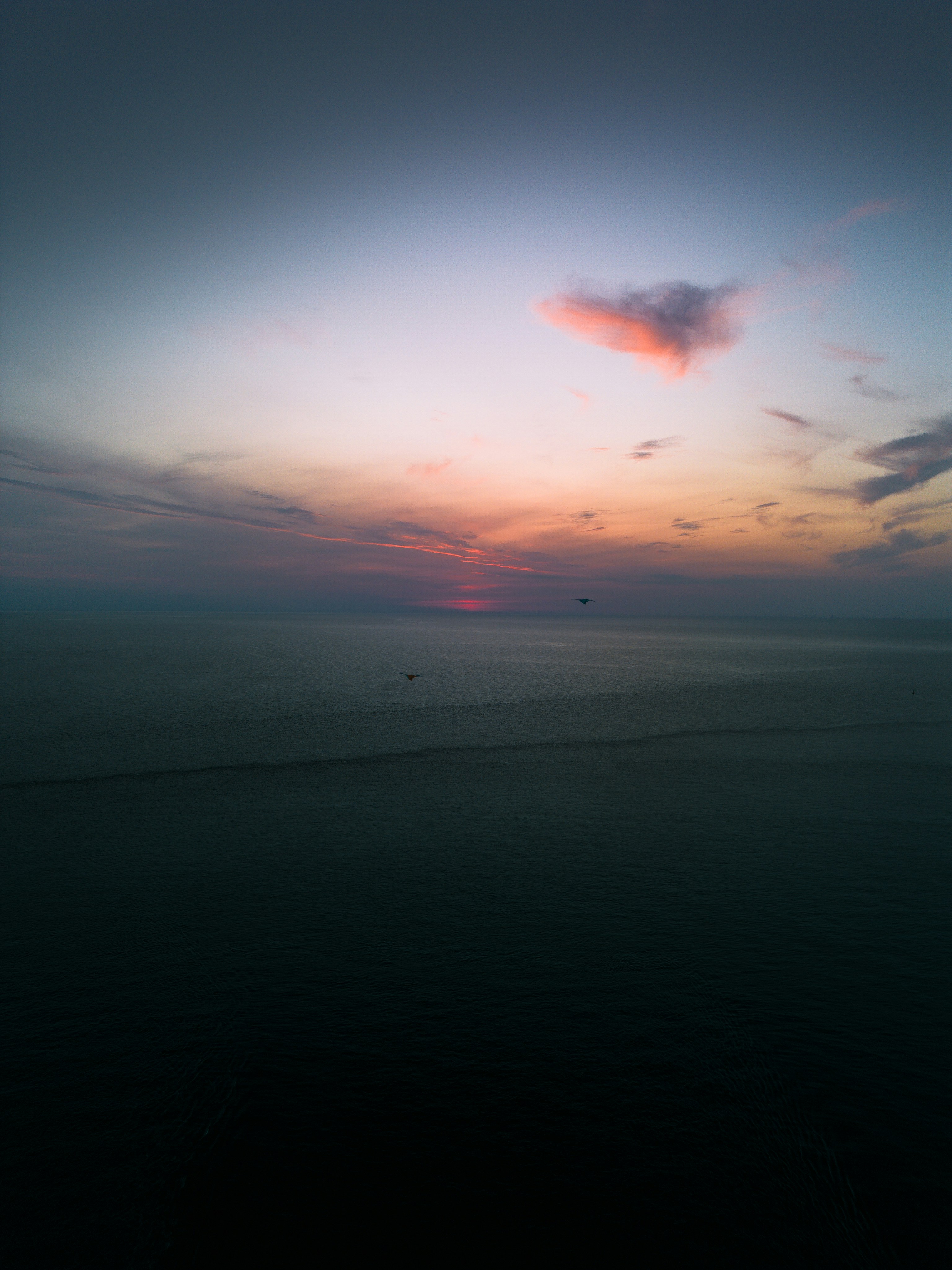 Photo by lursumr