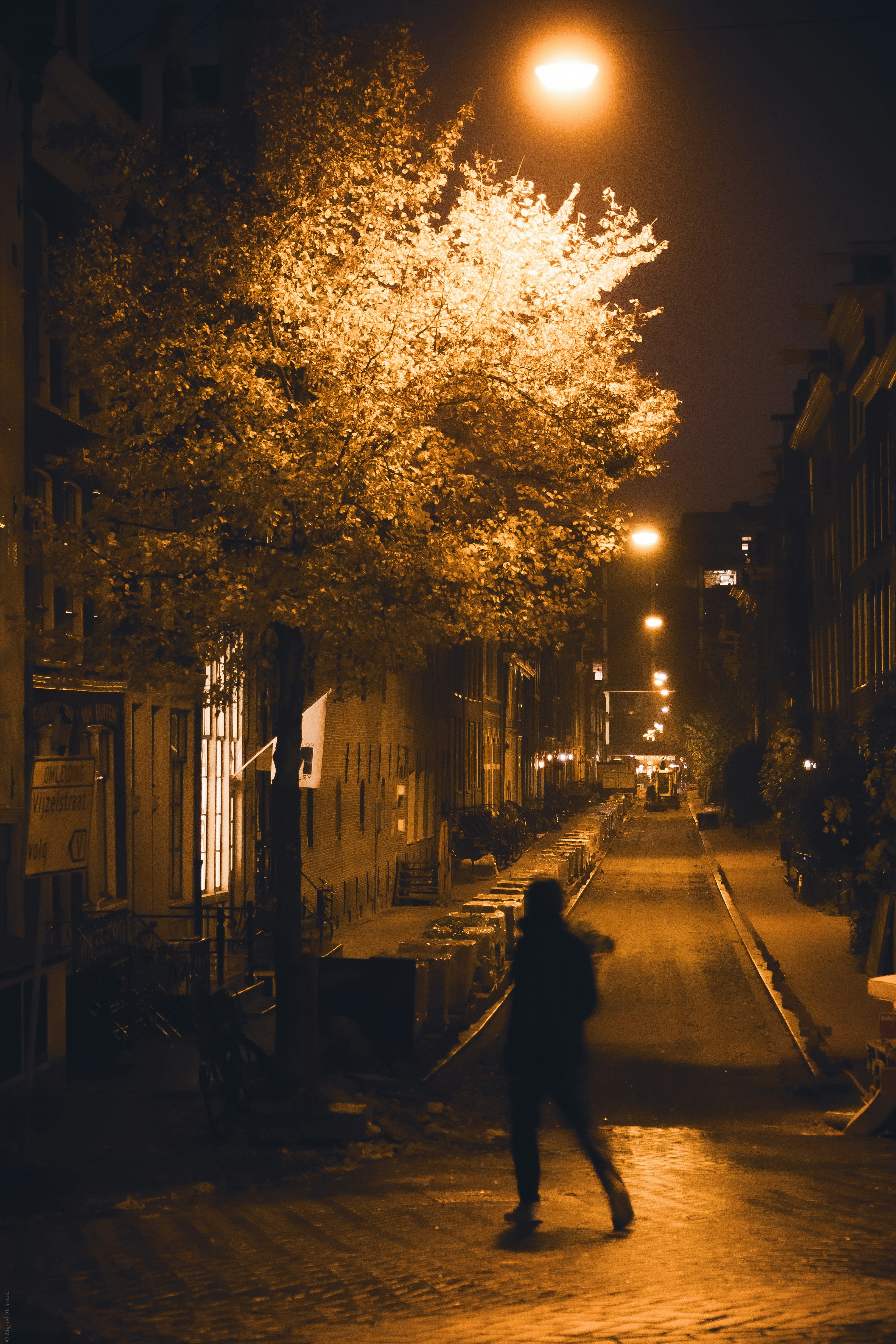 Photo by miguelalcantara