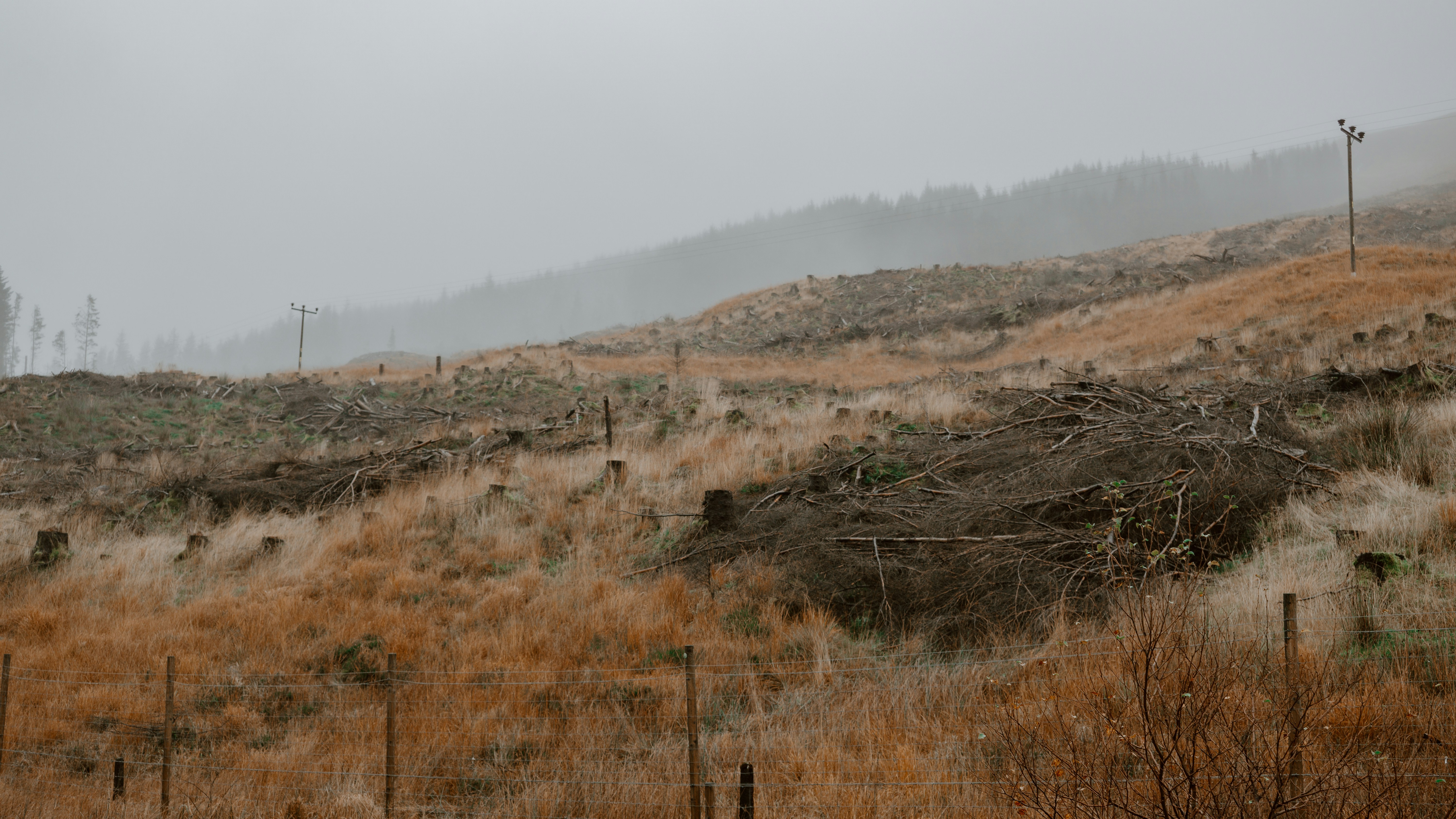 Photo by filizelaerts