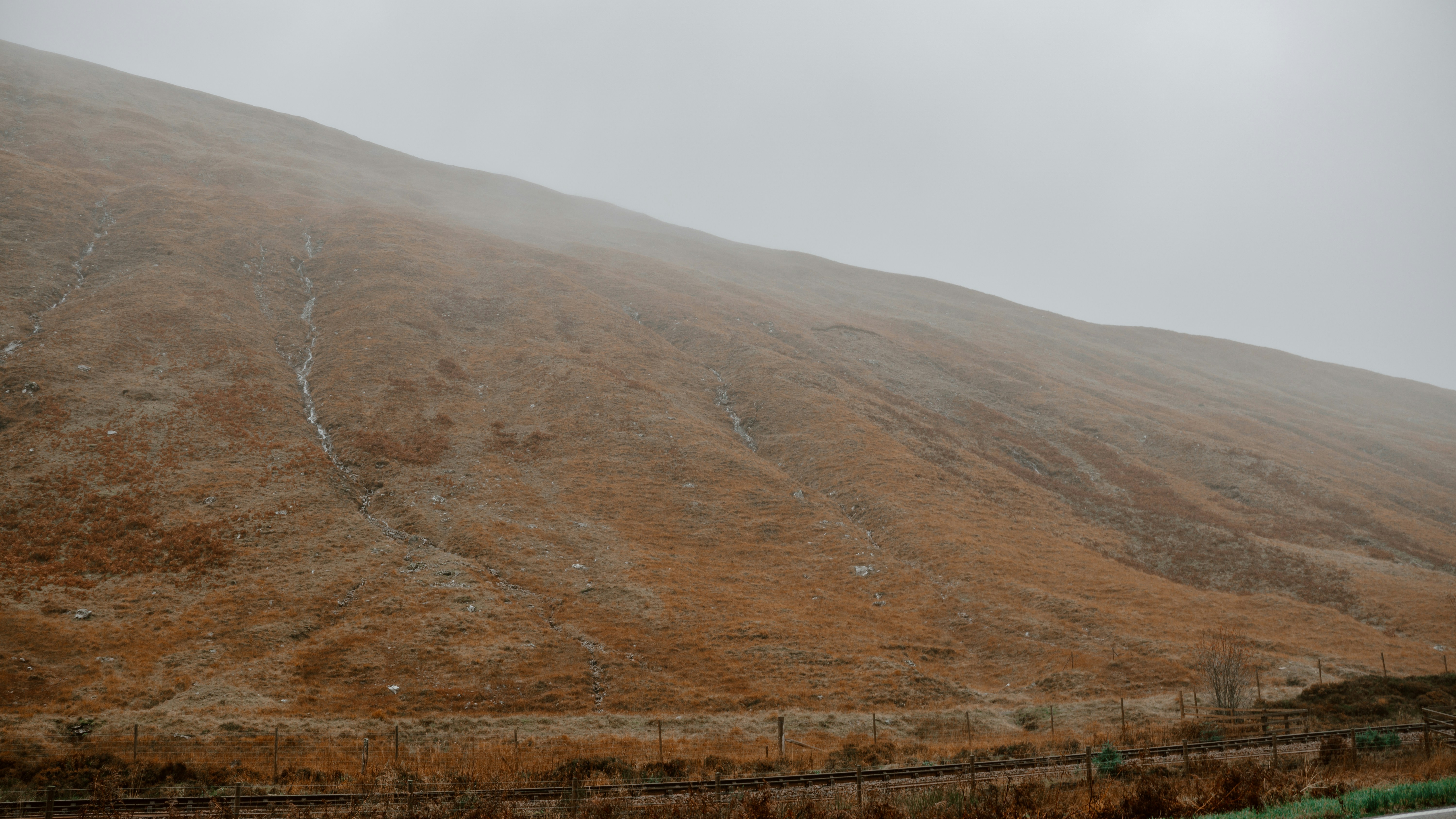 Photo by filizelaerts