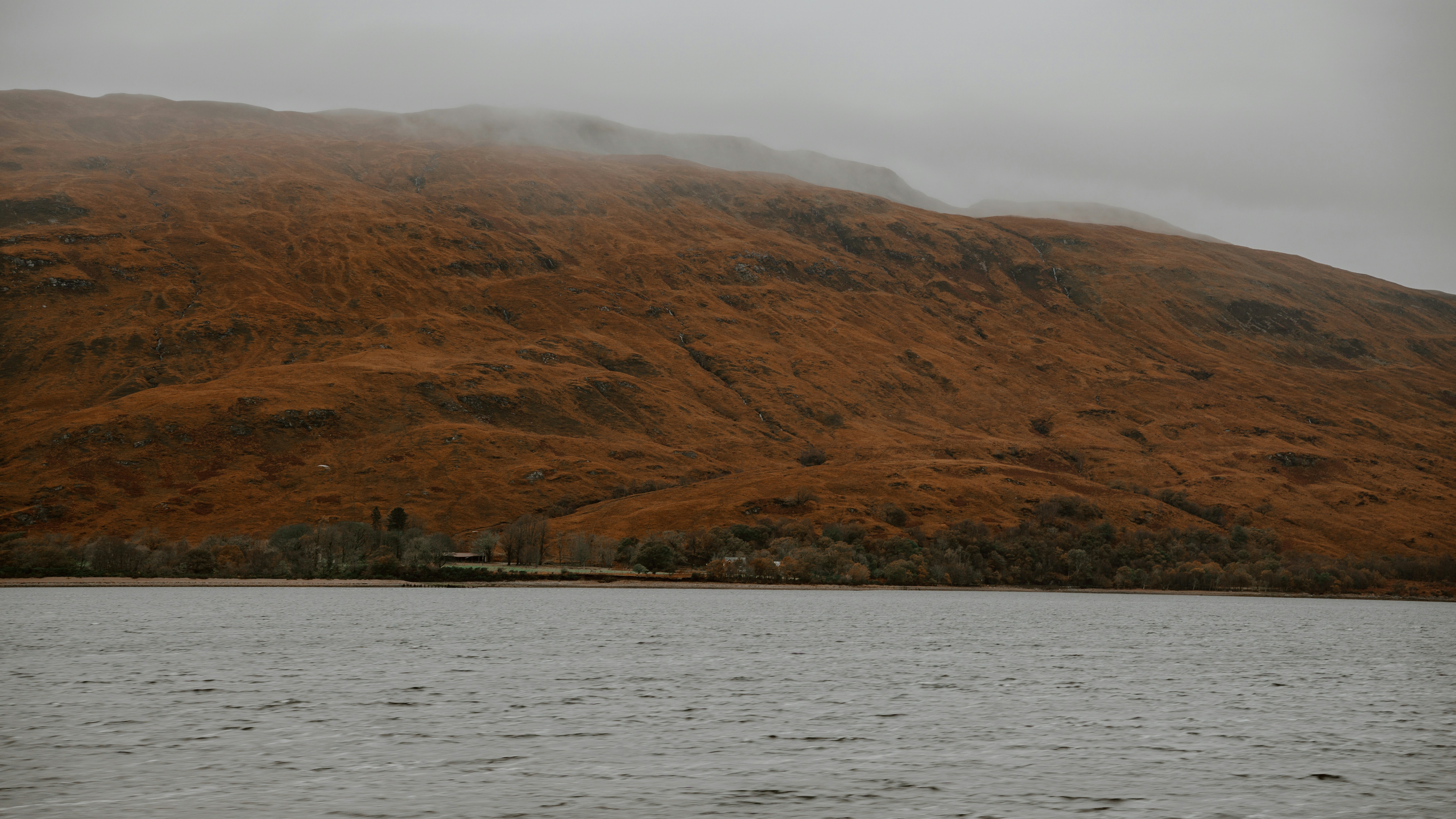 Photo by filizelaerts