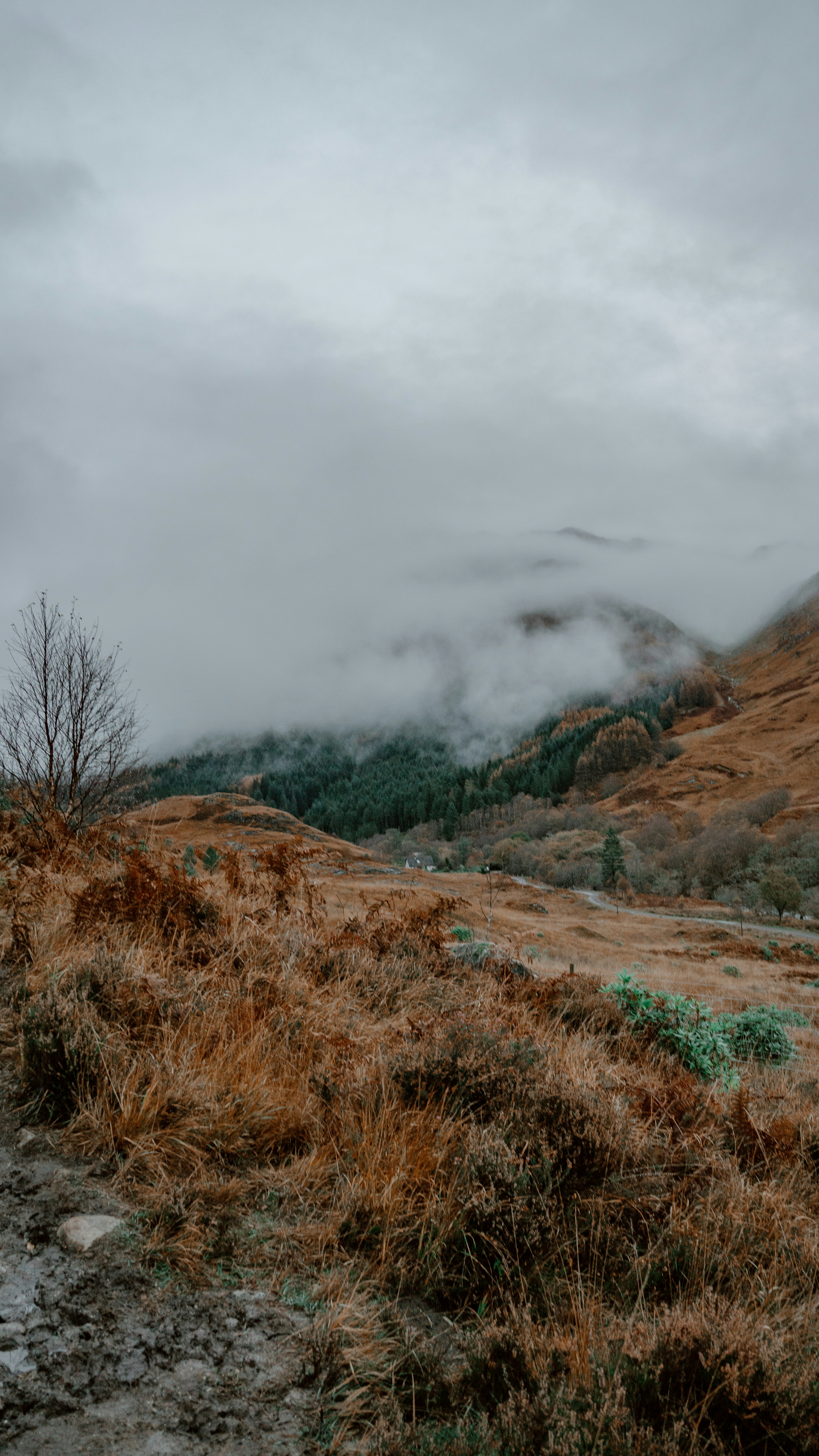 Photo by filizelaerts