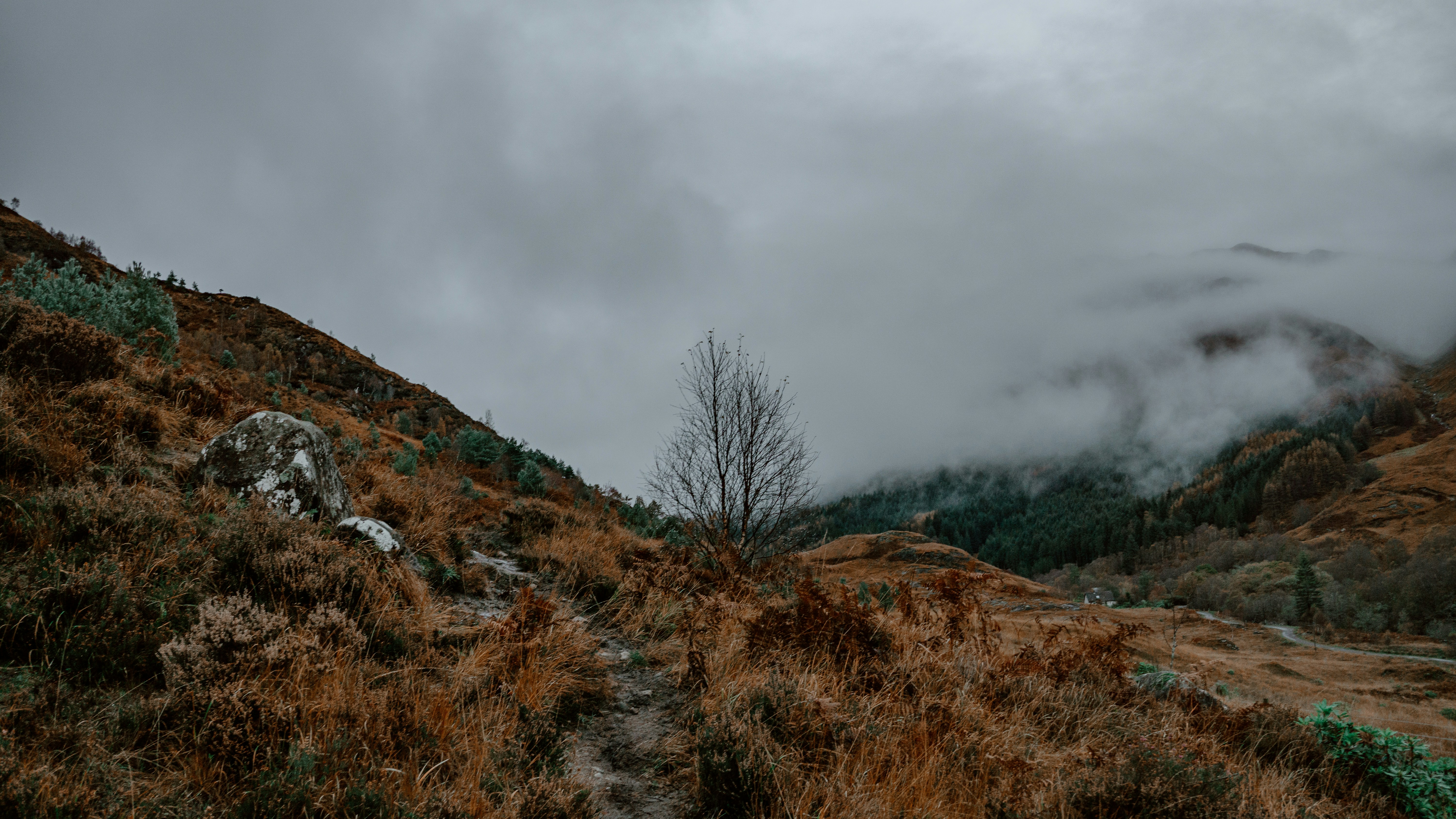 Photo by filizelaerts