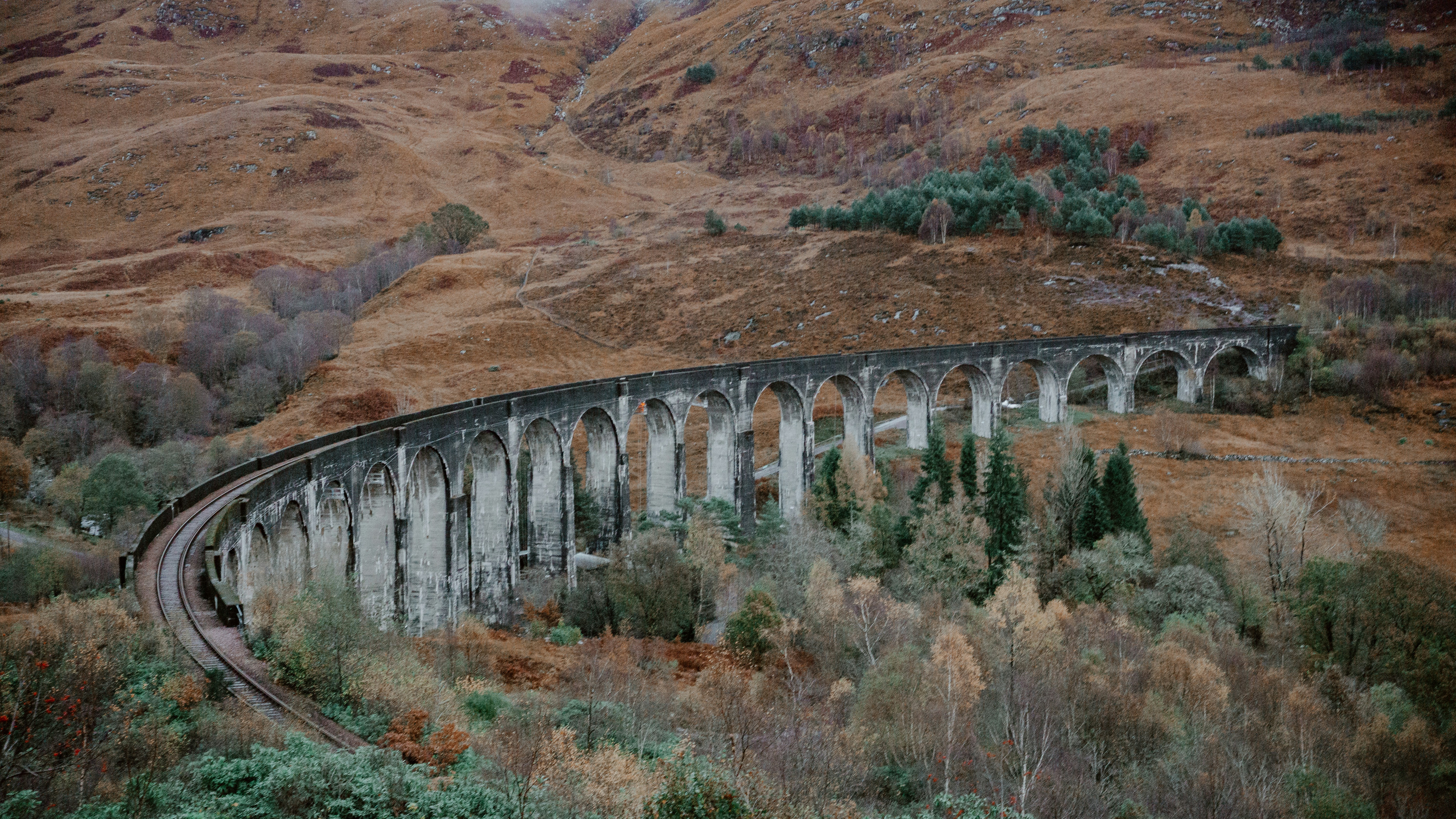 Photo by filizelaerts