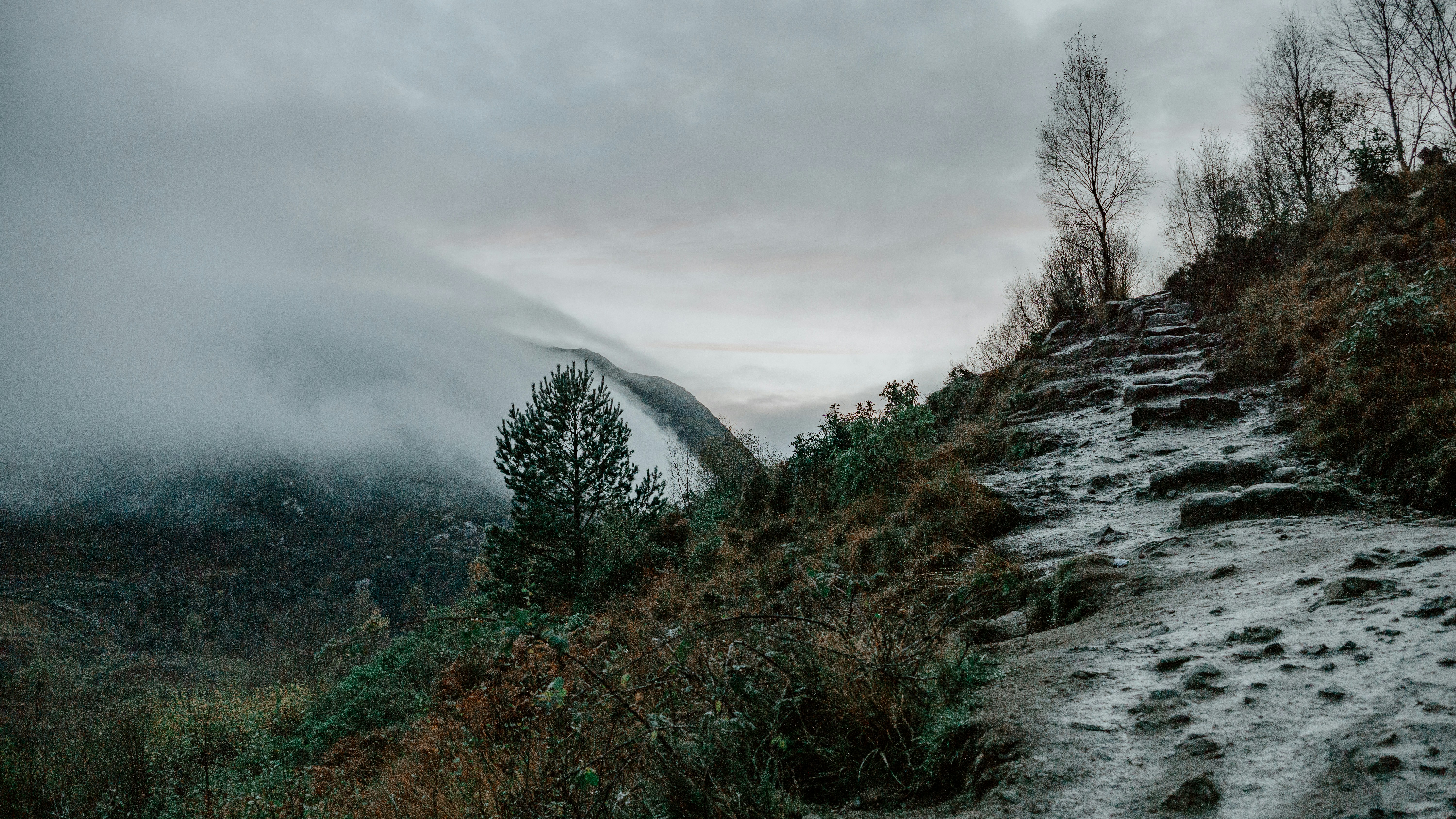 Photo by filizelaerts