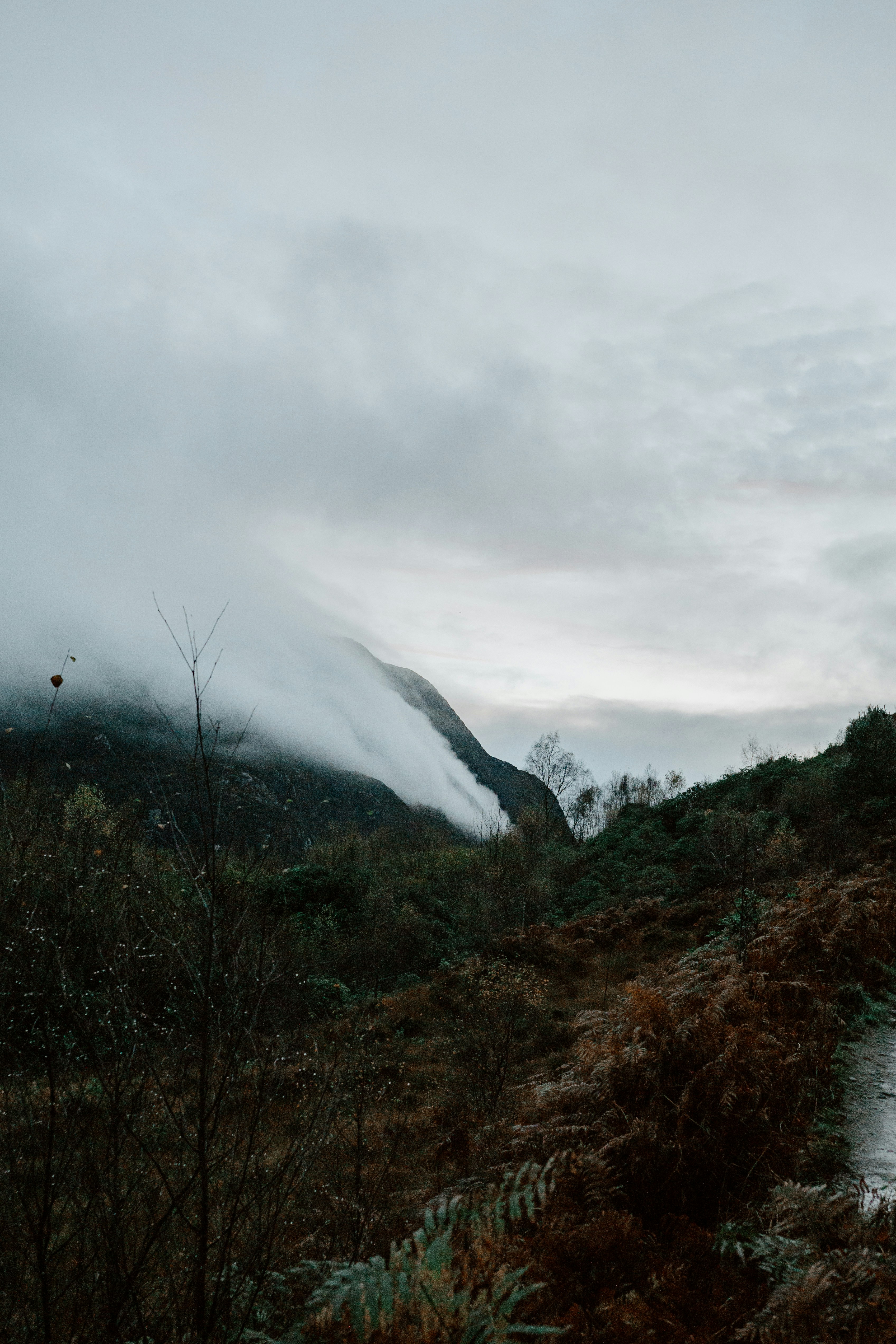 Photo by filizelaerts