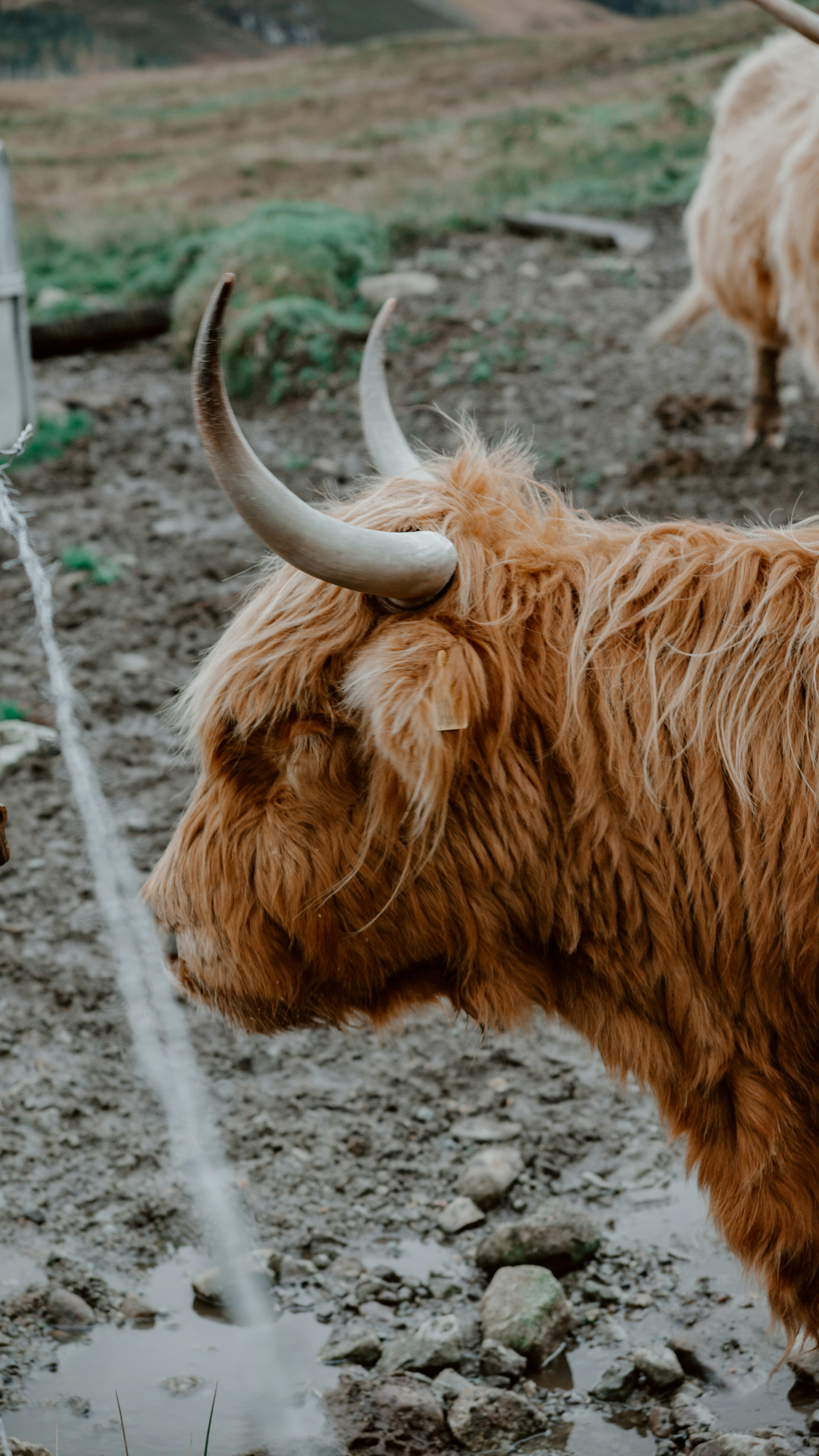 Photo by filizelaerts