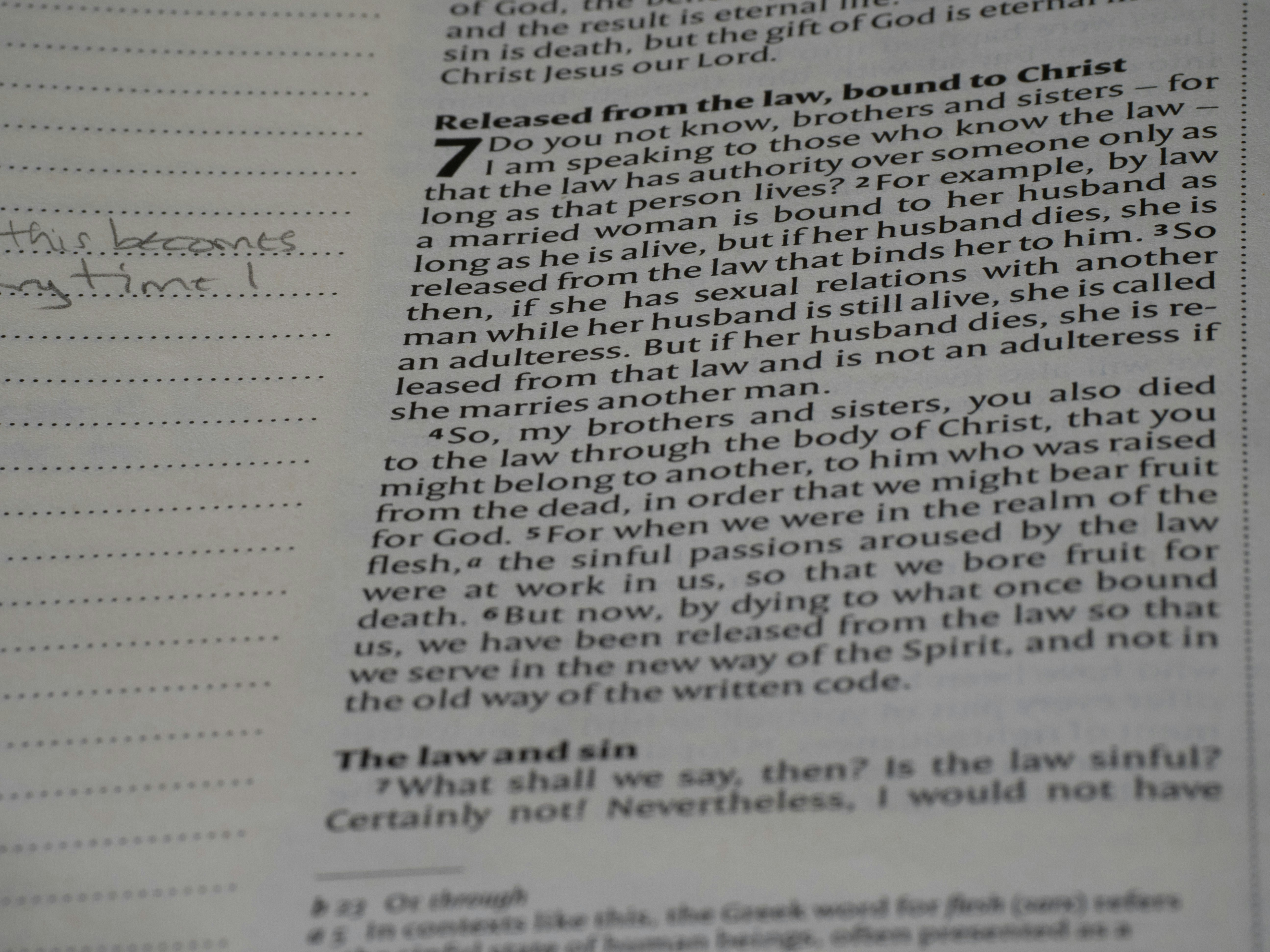 Photo by brett_jordan