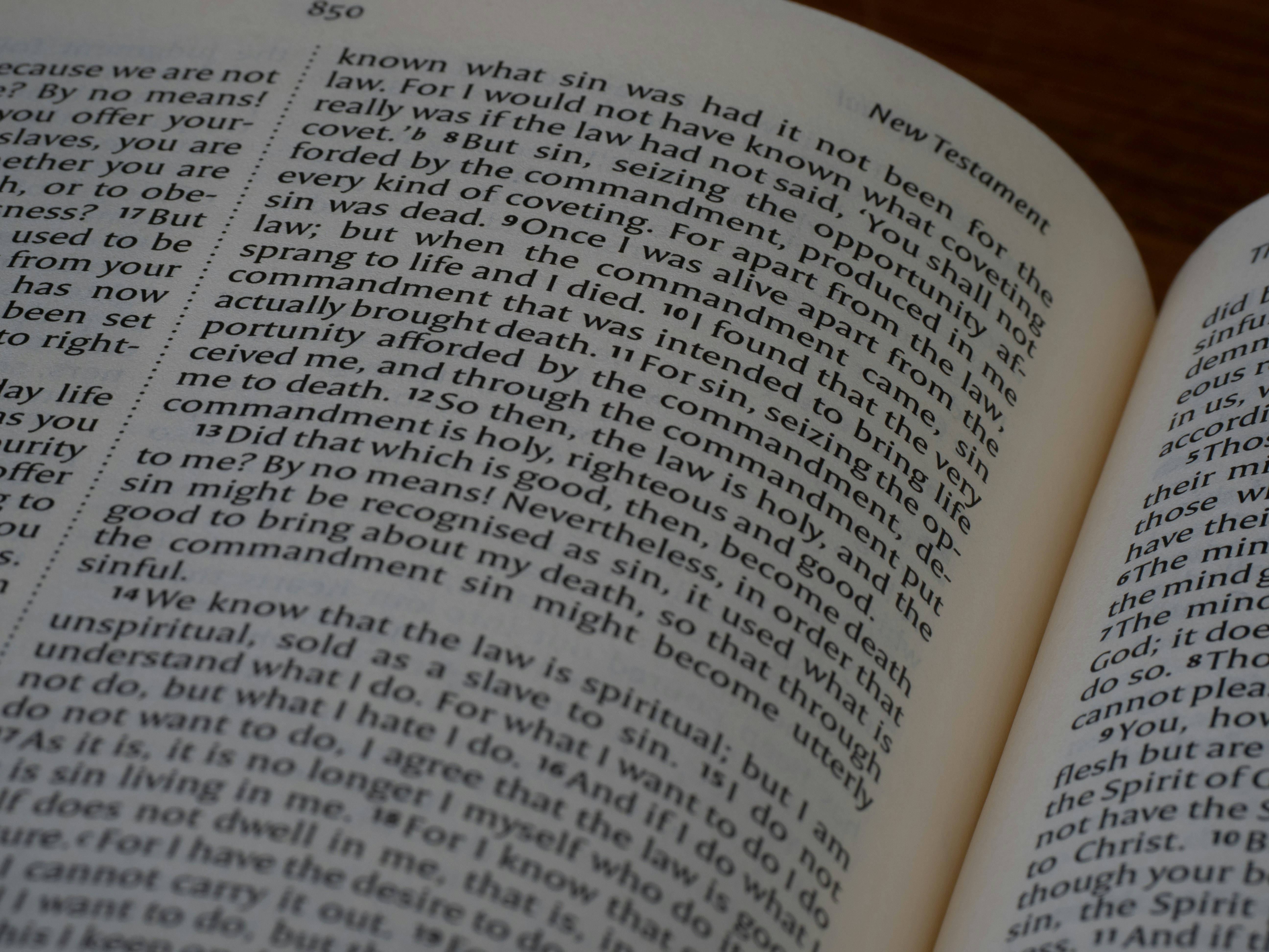 Photo by brett_jordan