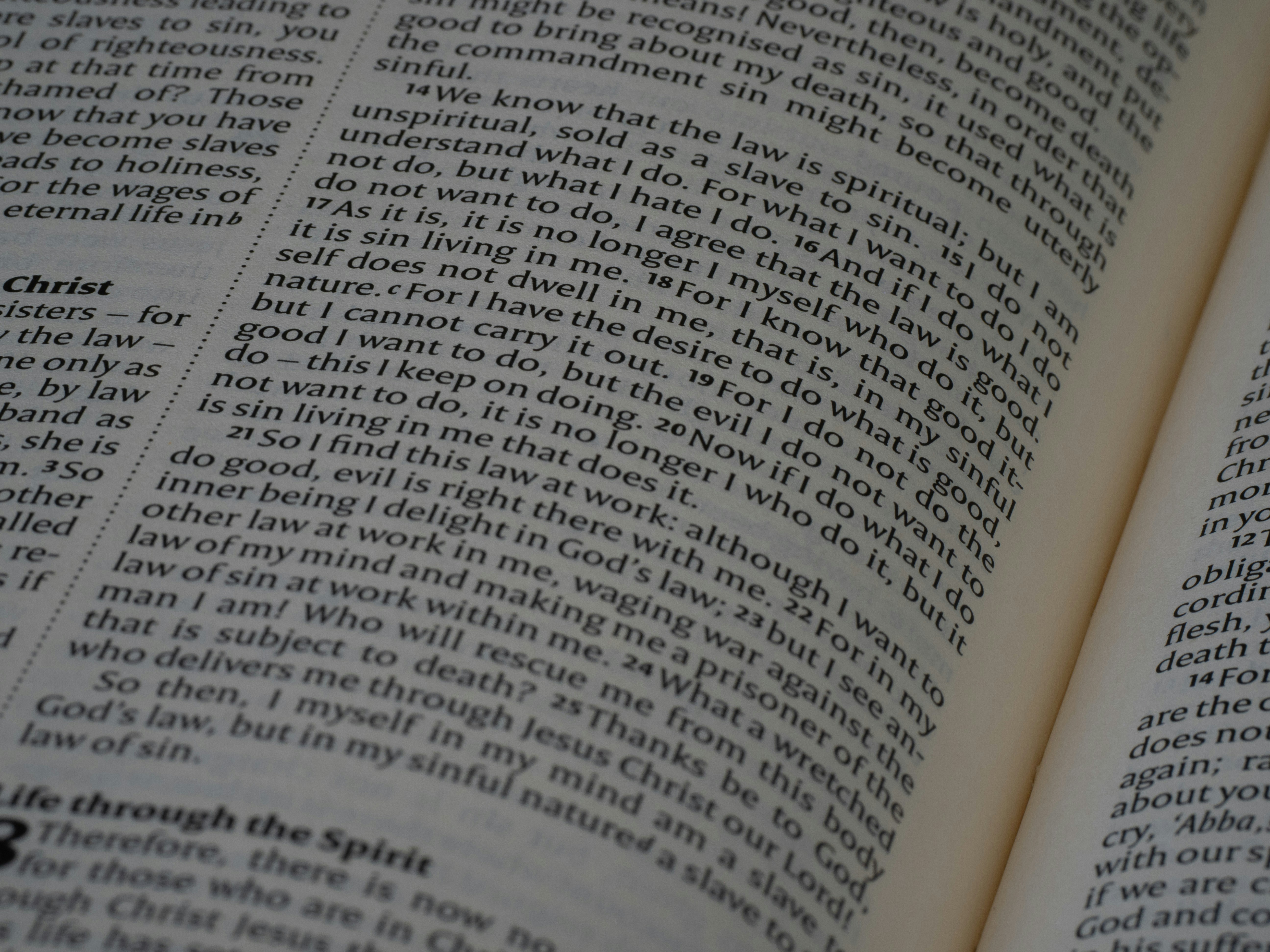 Photo by brett_jordan