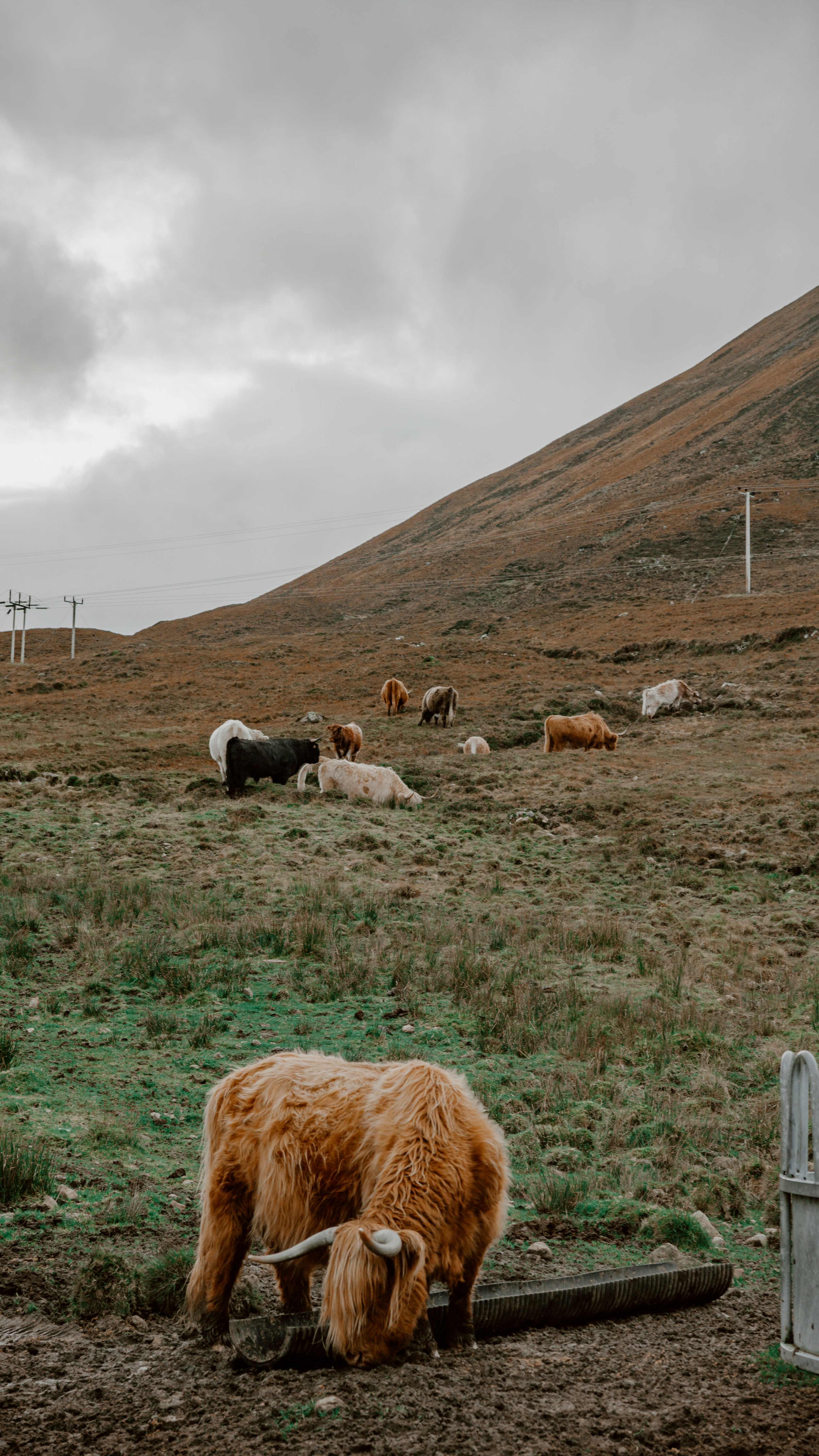 Photo by filizelaerts