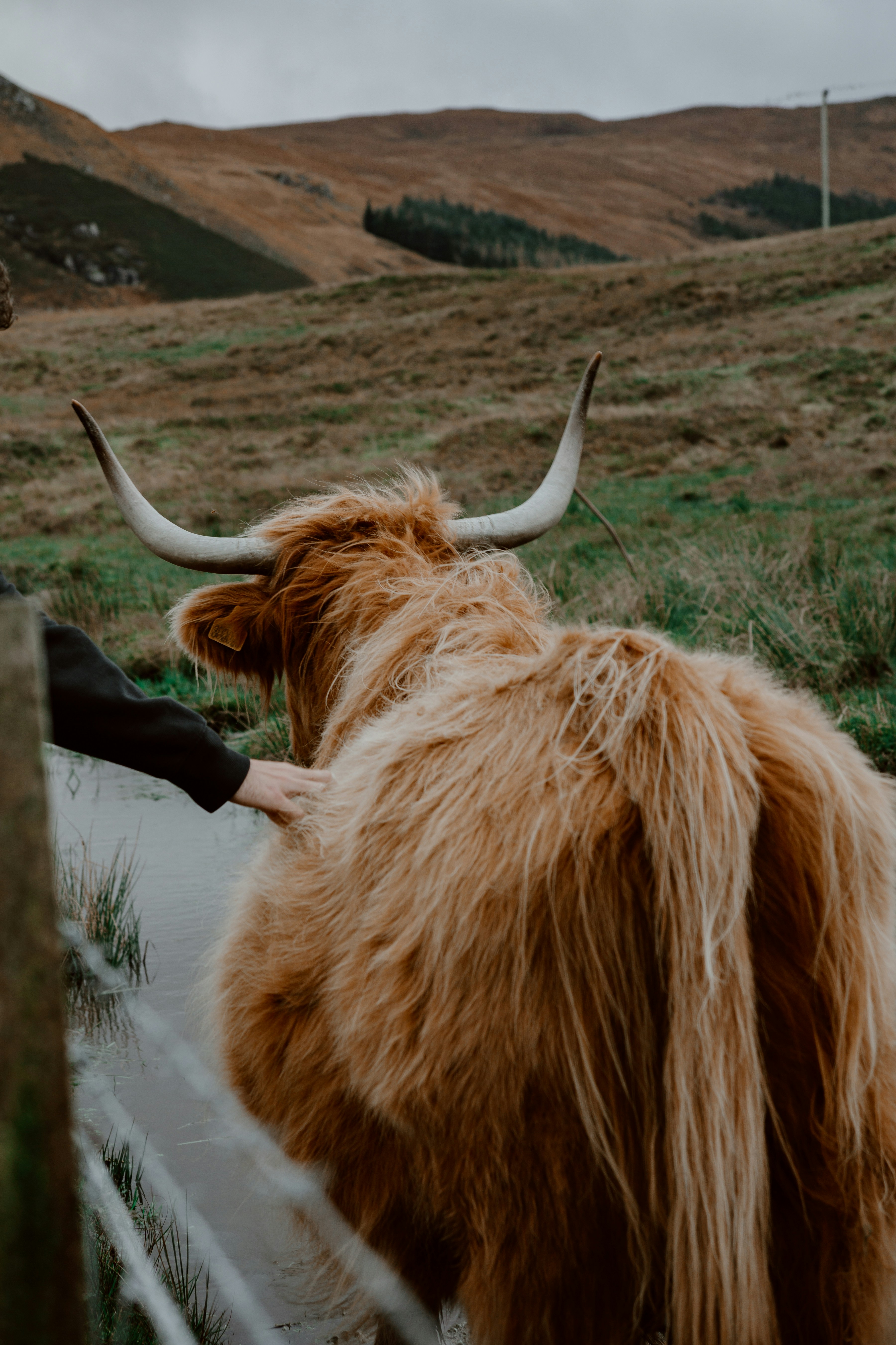 Photo by filizelaerts