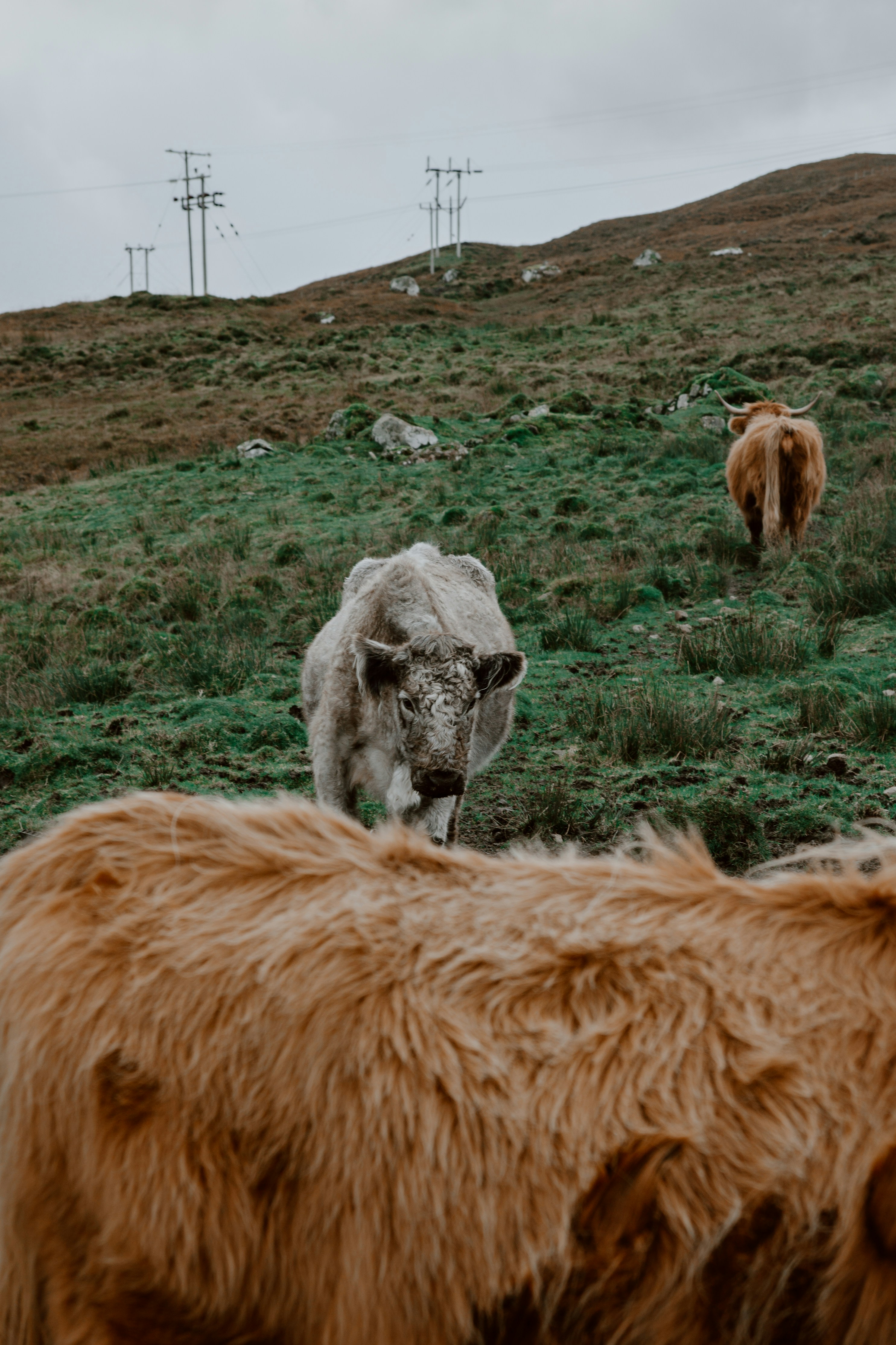 Photo by filizelaerts