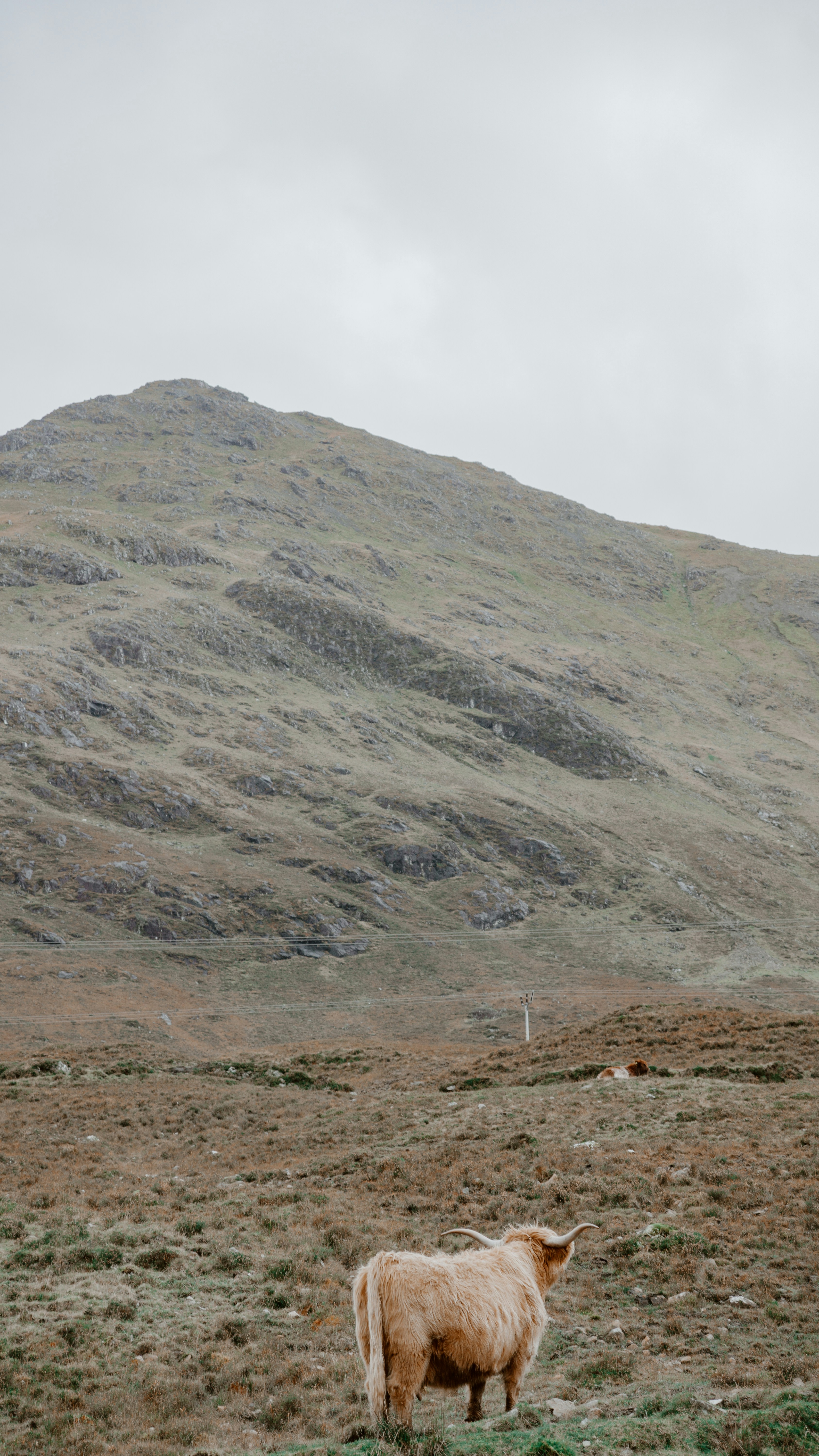 Photo by filizelaerts