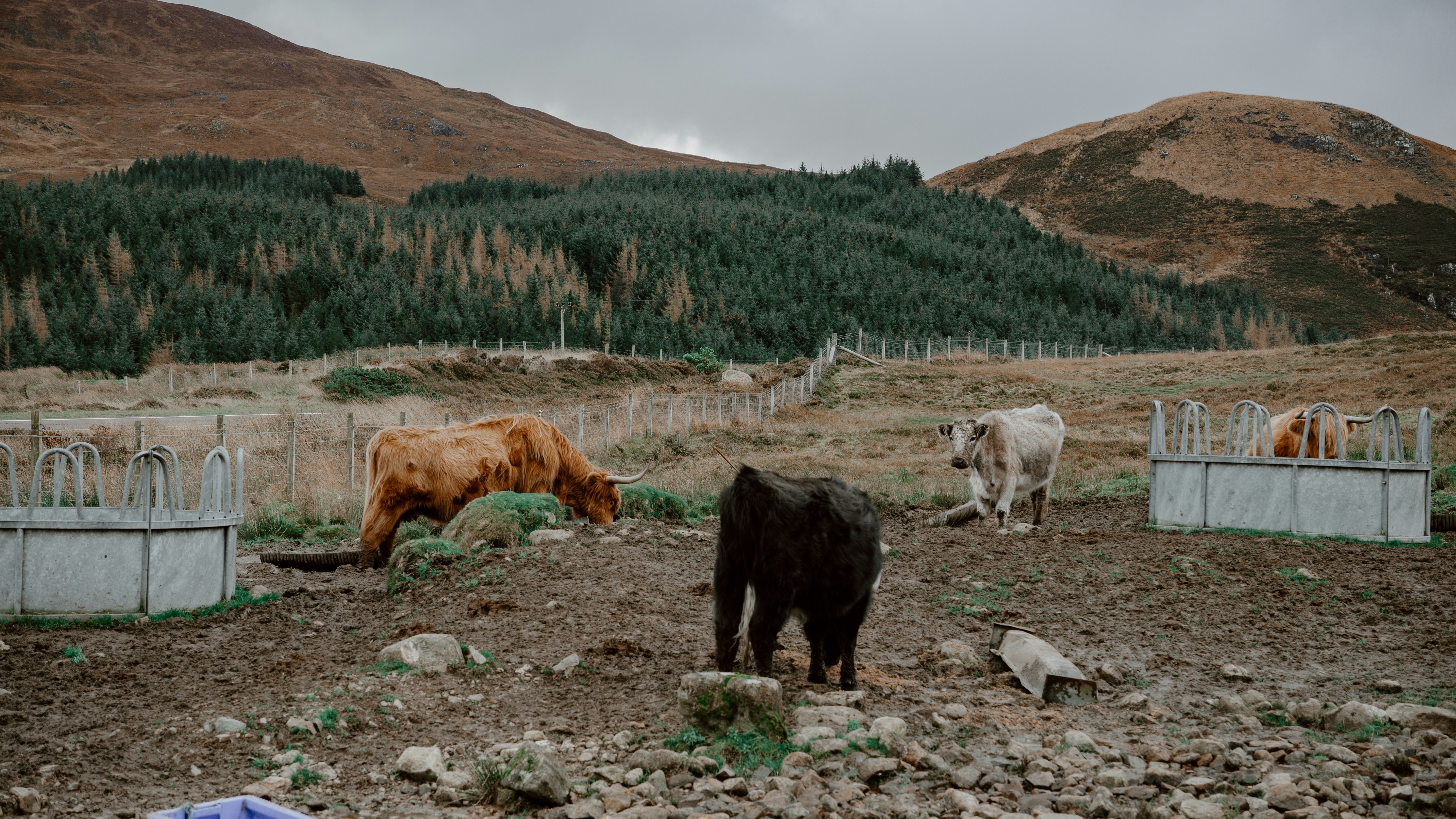 Photo by filizelaerts