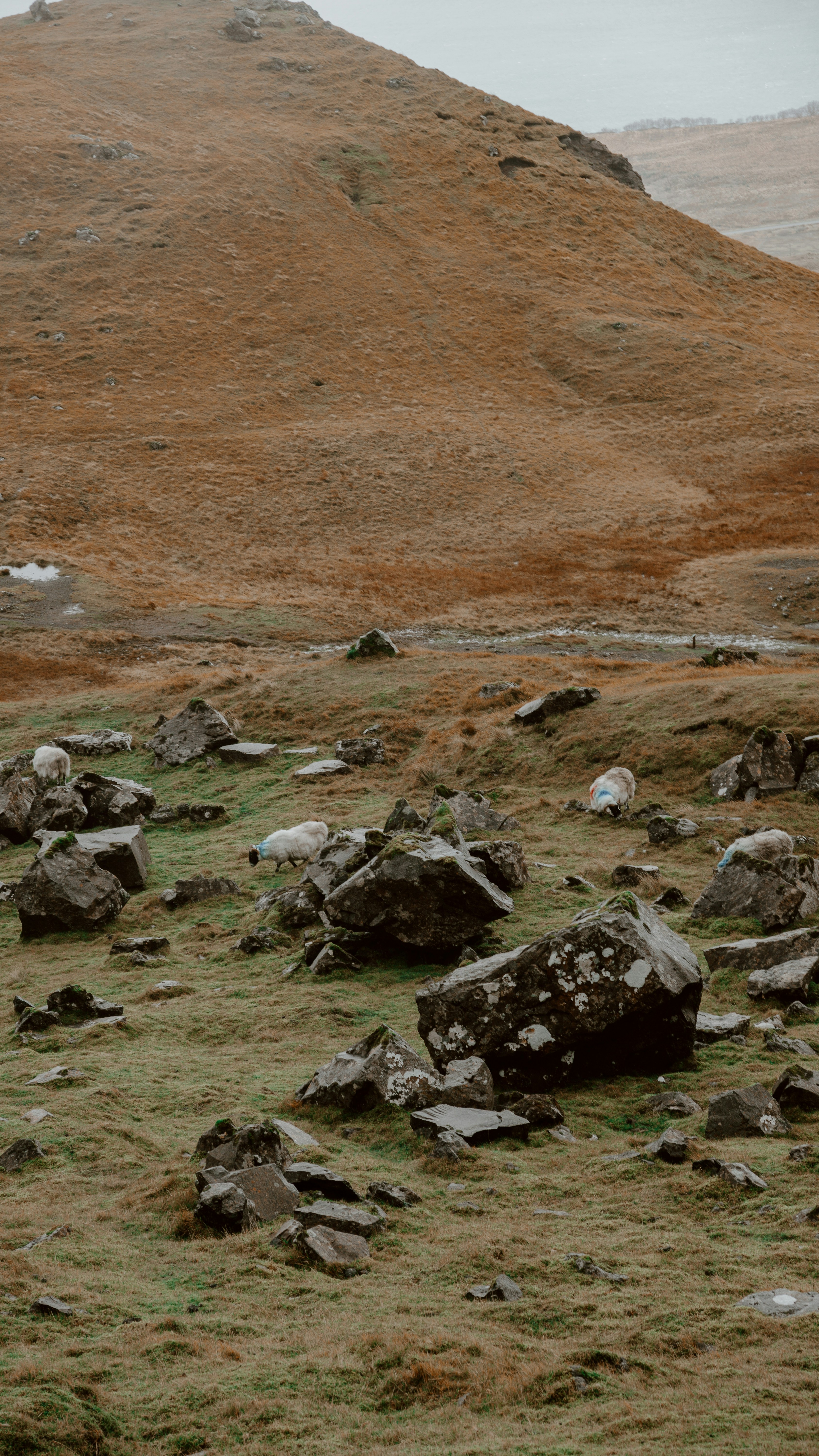 Photo by filizelaerts