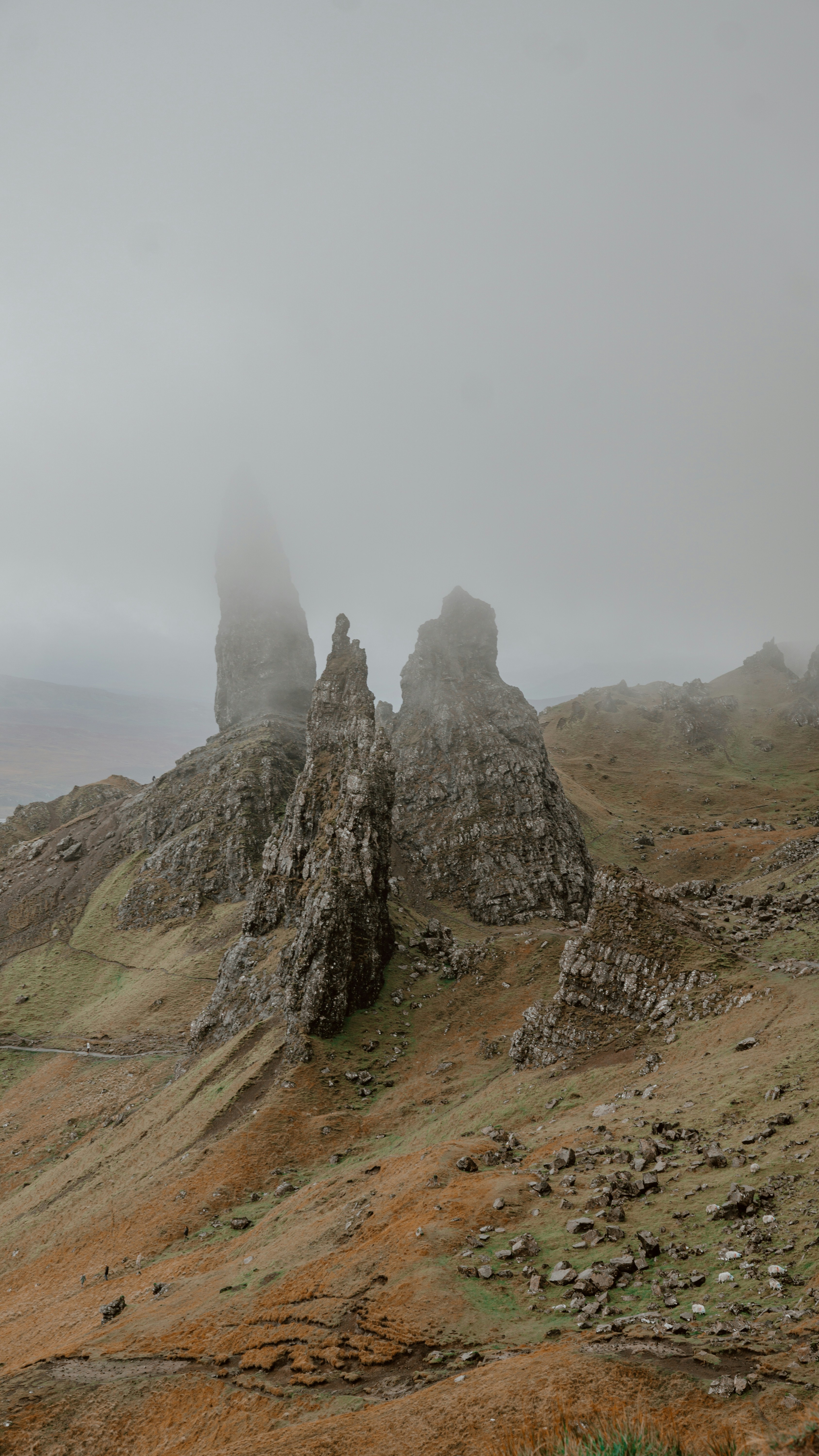 Photo by filizelaerts