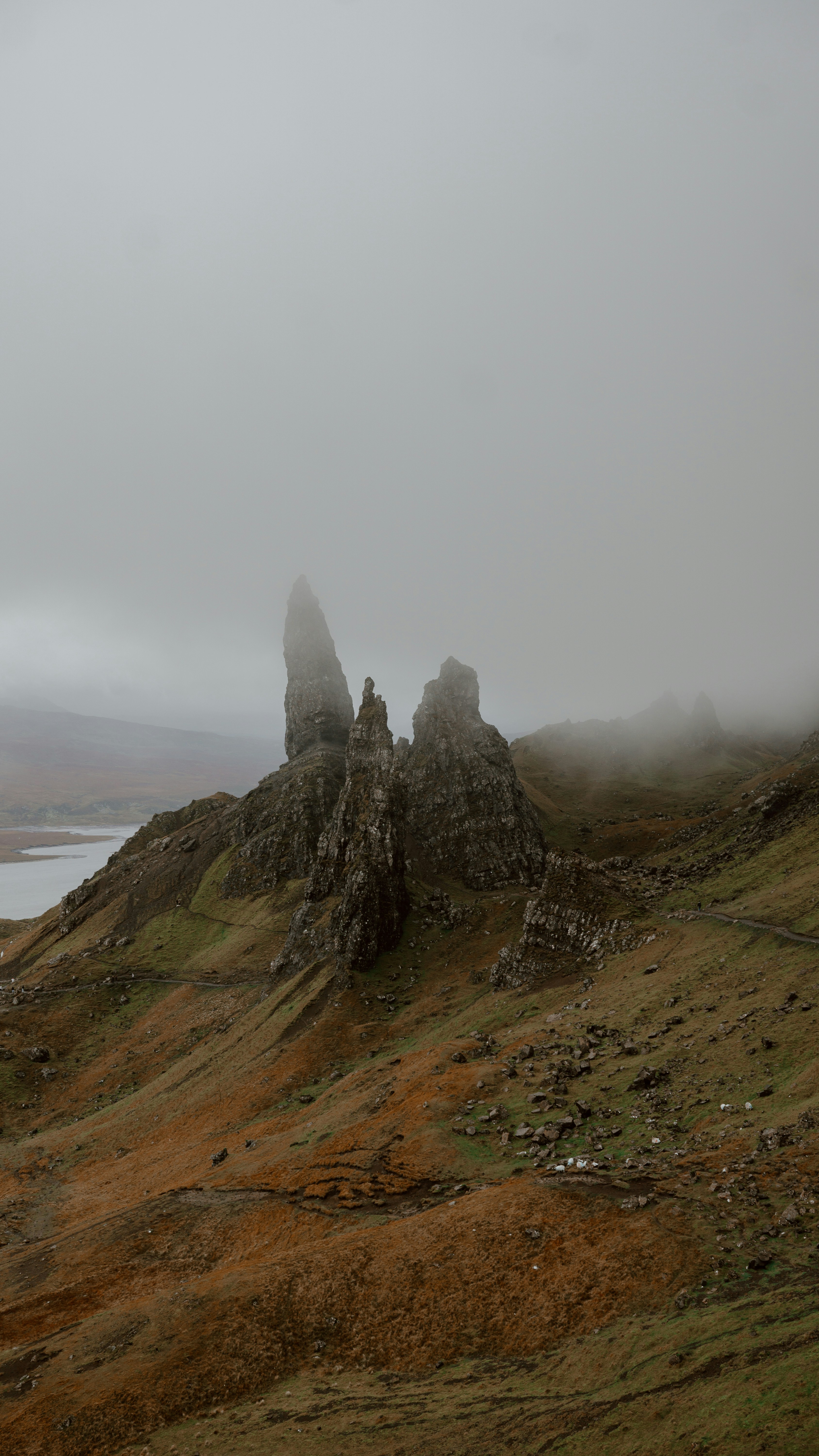 Photo by filizelaerts