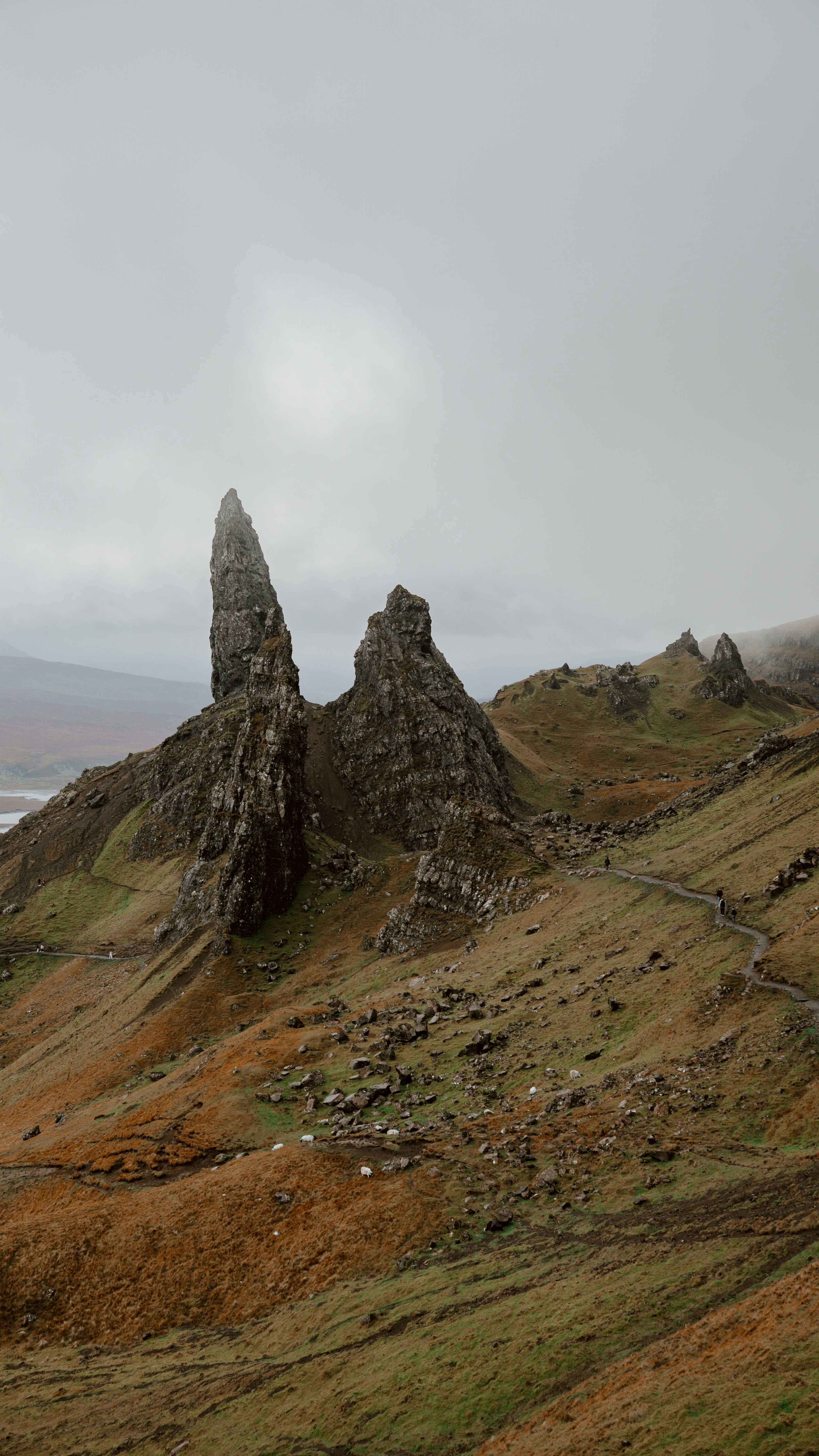 Photo by filizelaerts