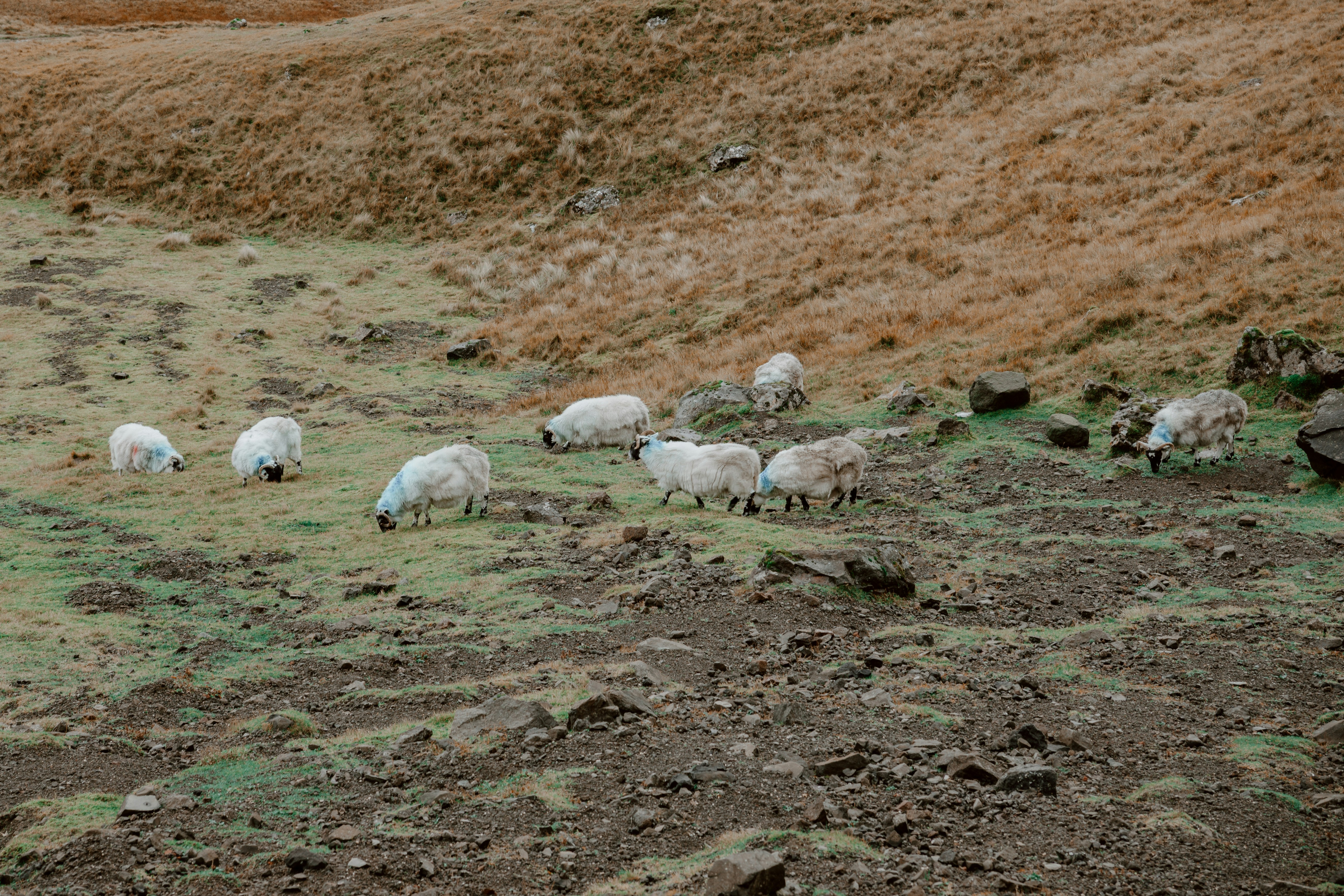 Photo by filizelaerts