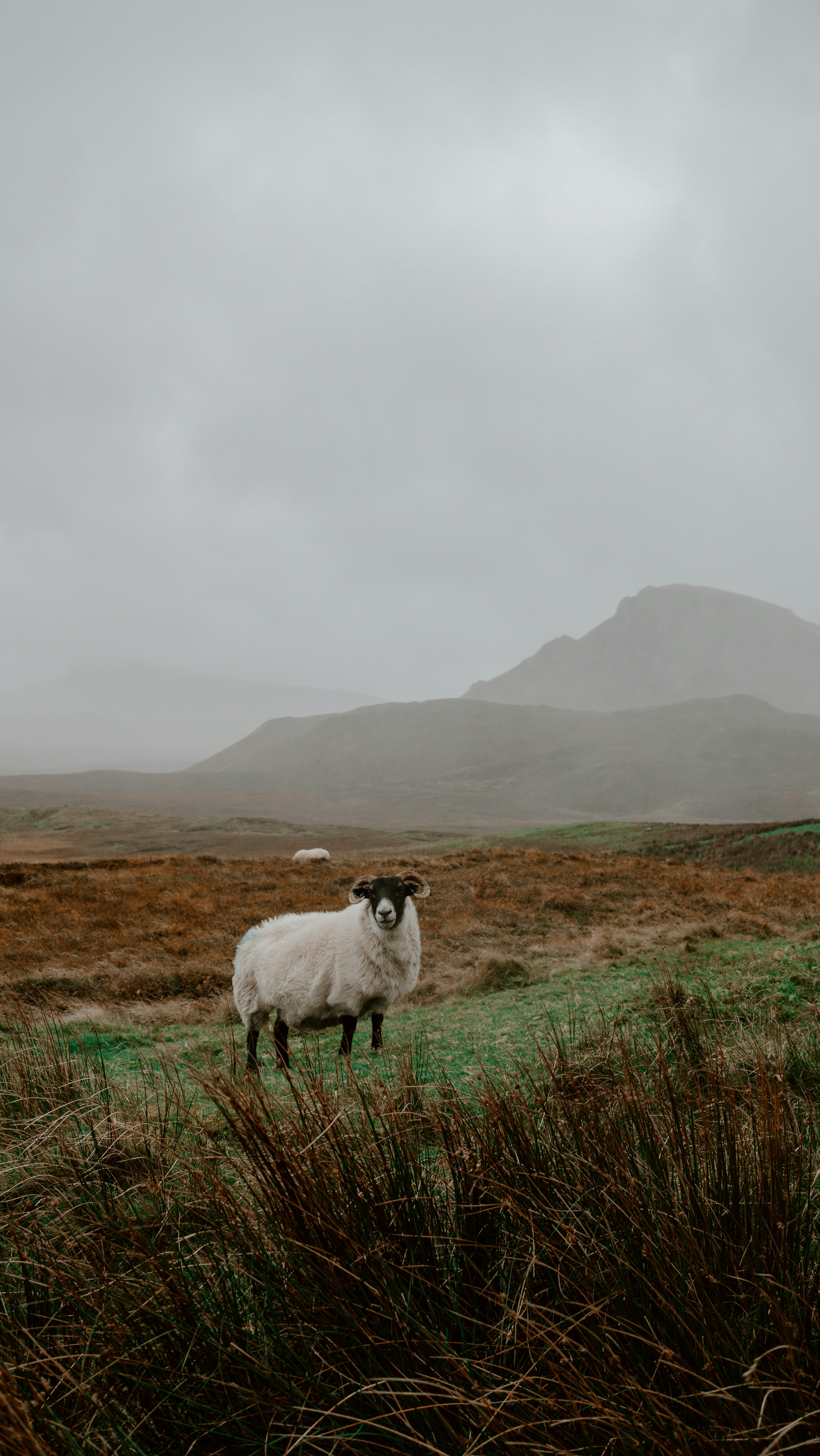 Photo by filizelaerts