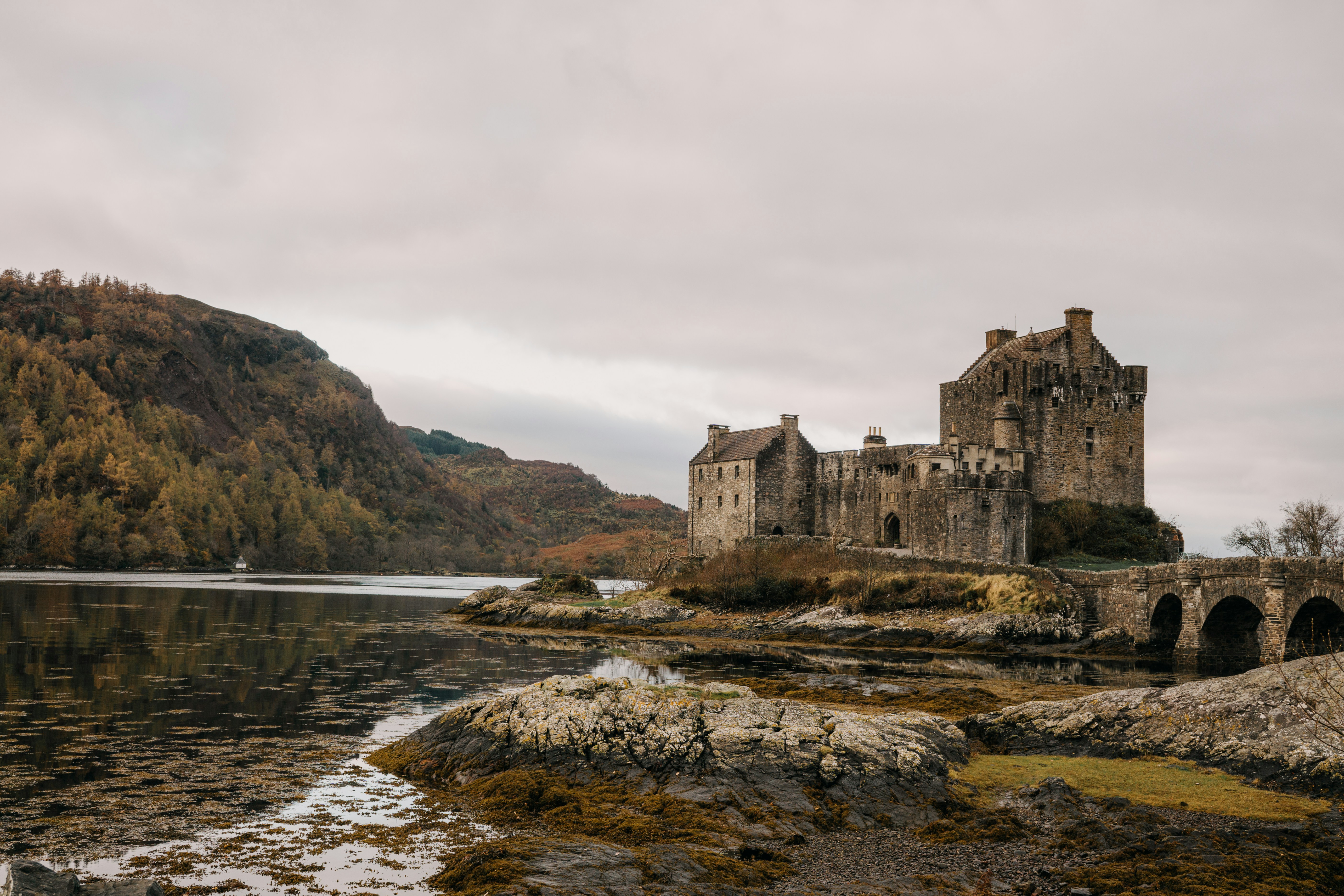 Photo by filizelaerts