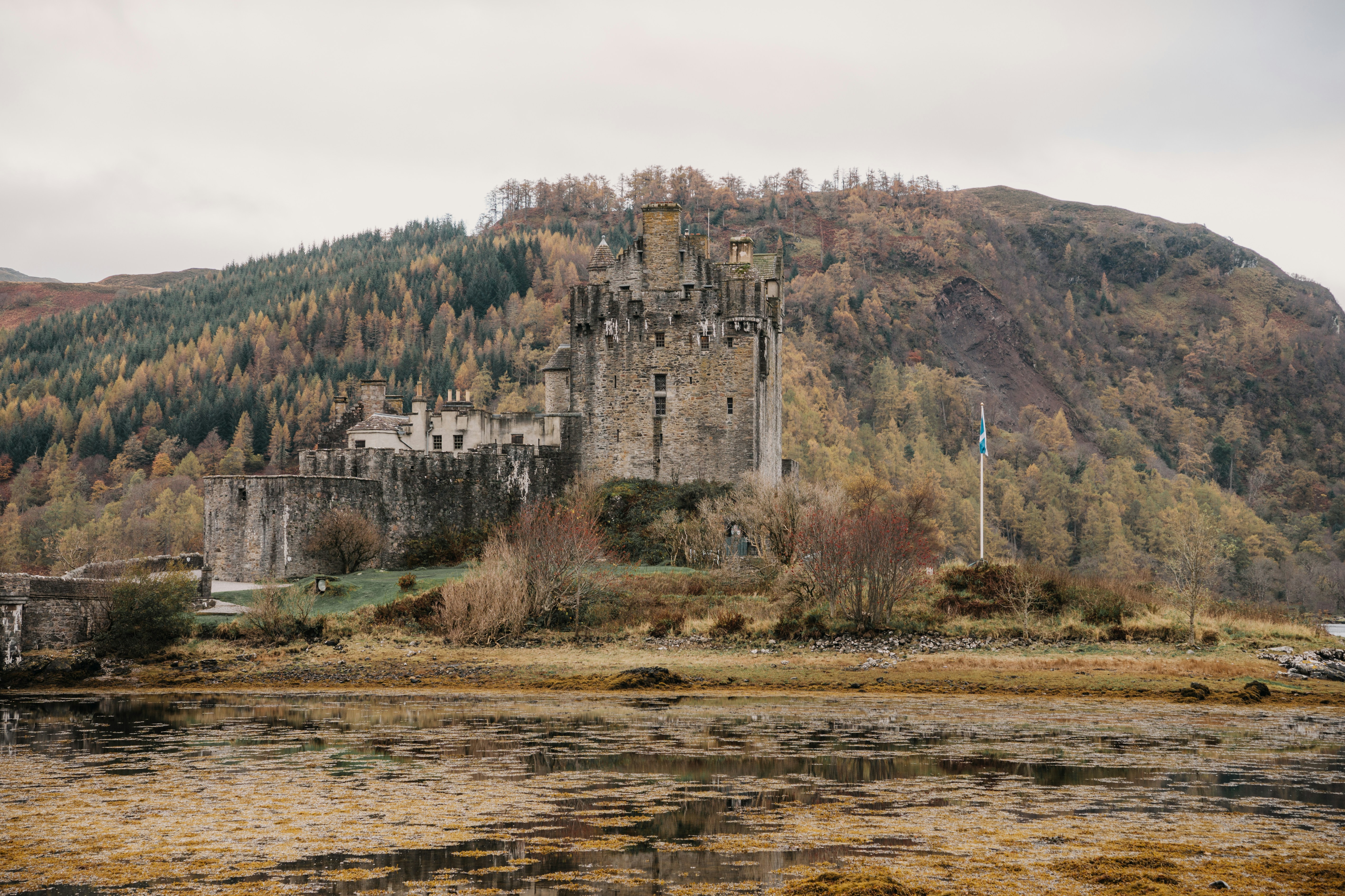 Photo by filizelaerts