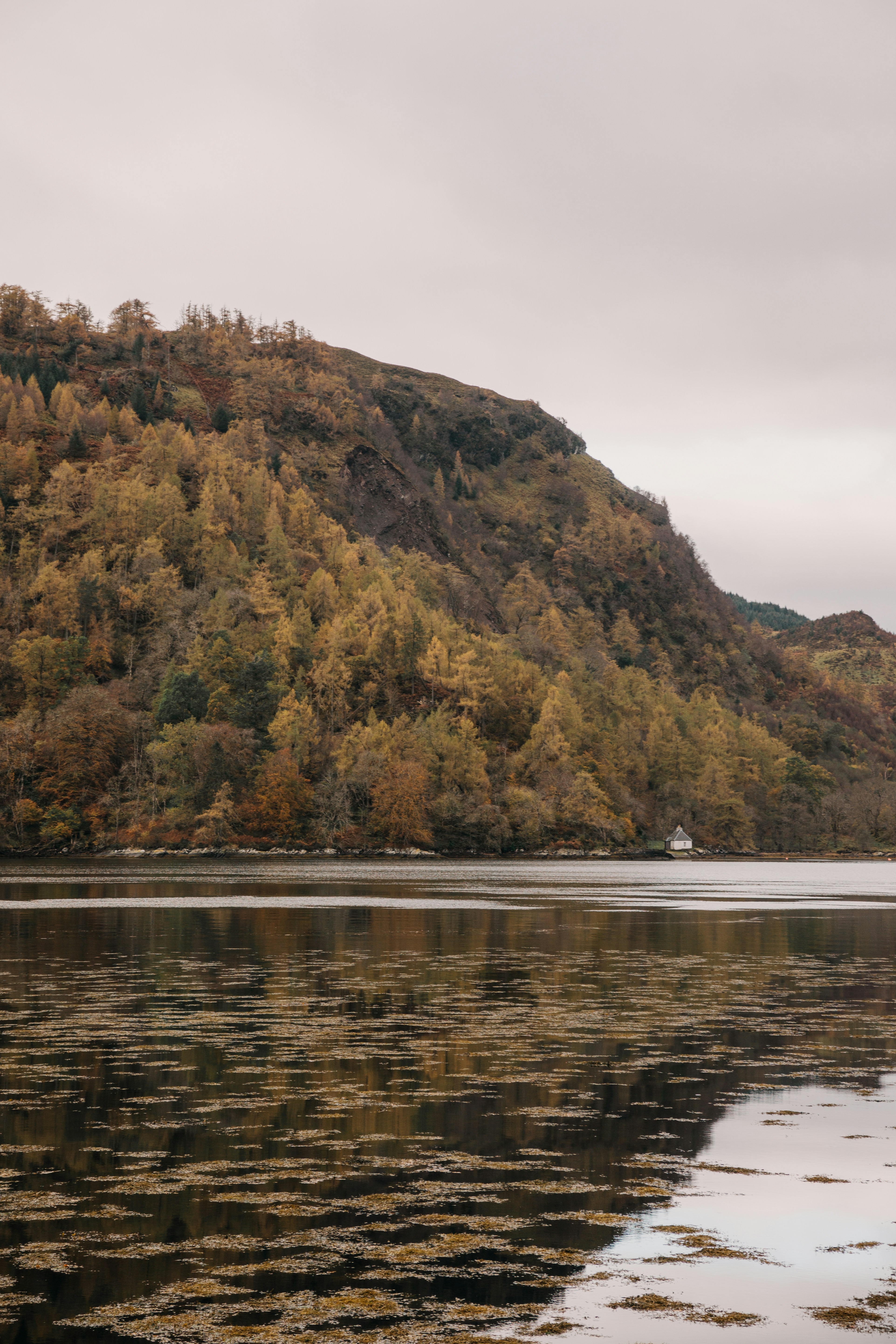 Photo by filizelaerts