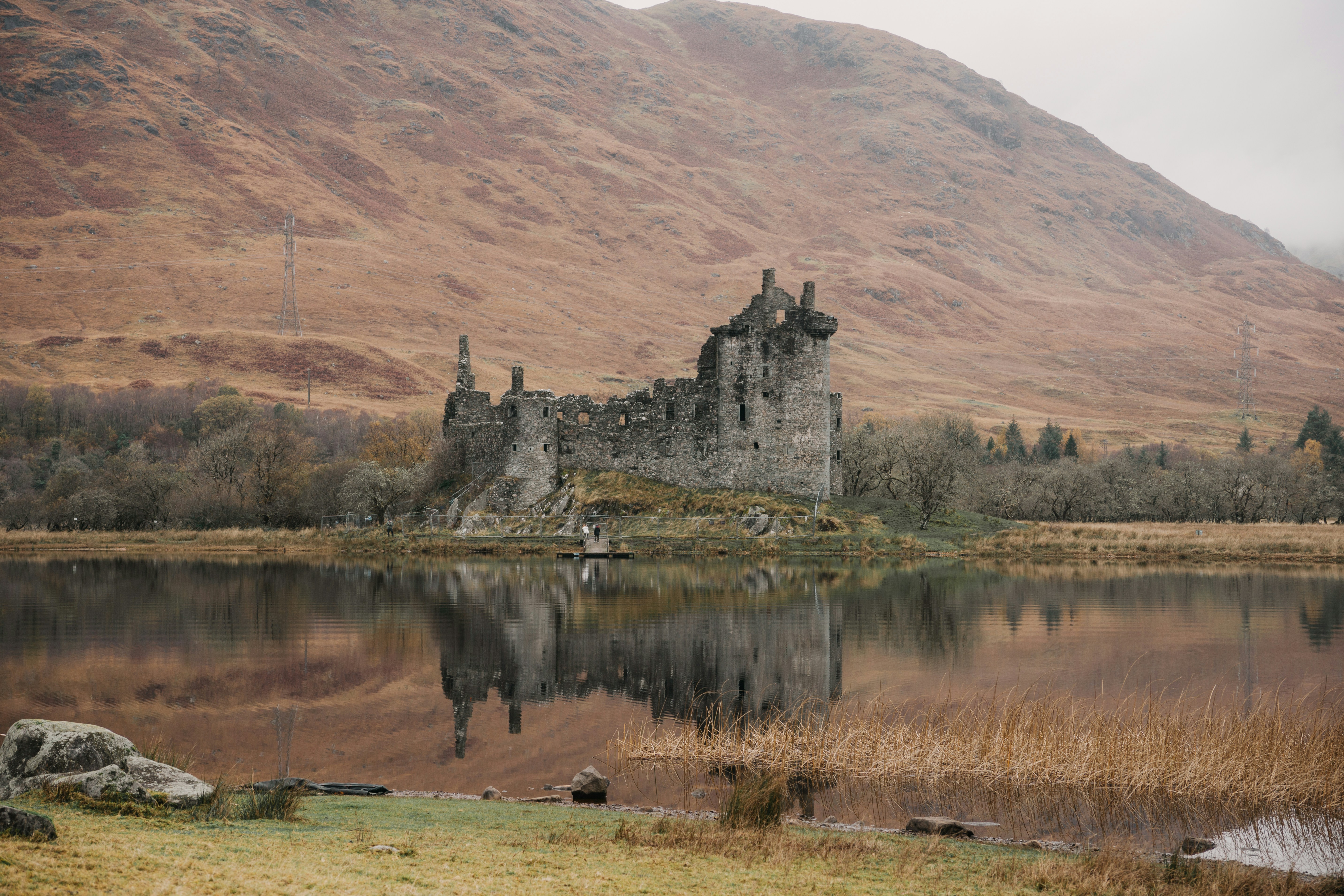 Photo by filizelaerts