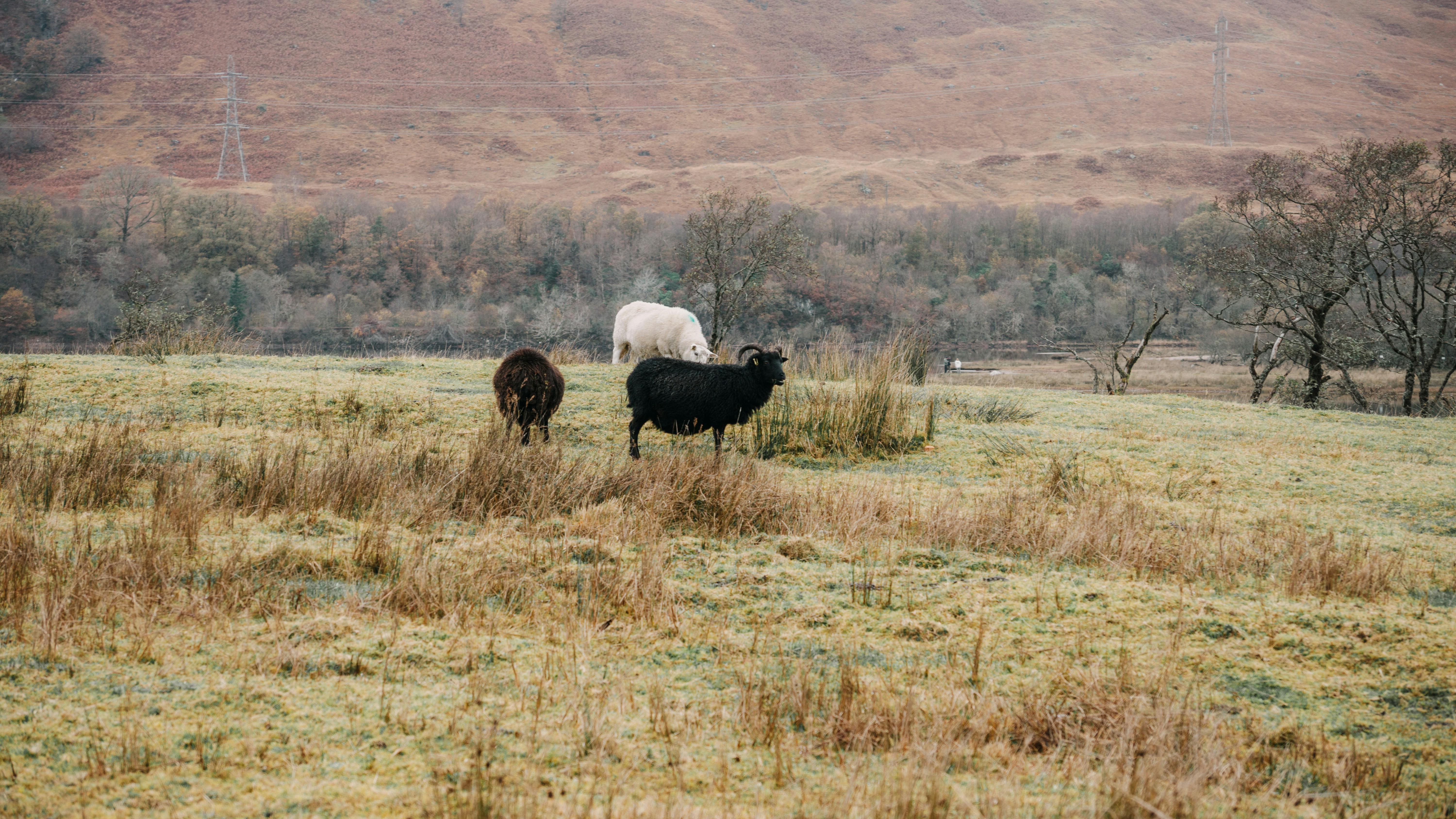 Photo by filizelaerts