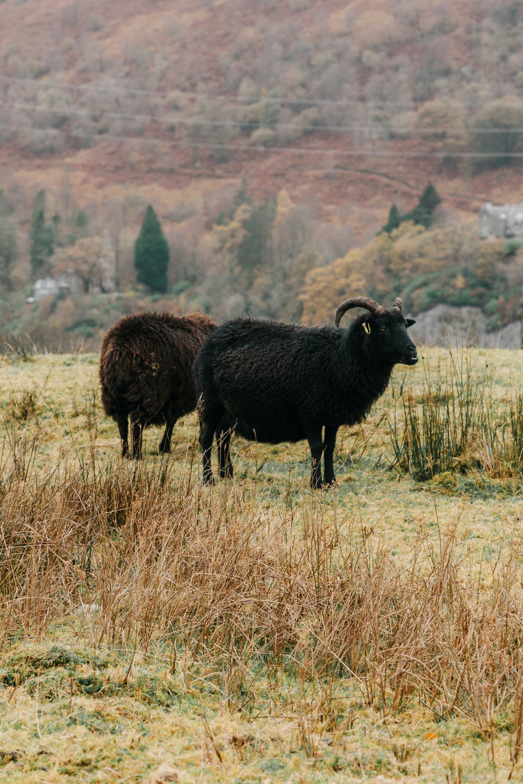 Photo by filizelaerts