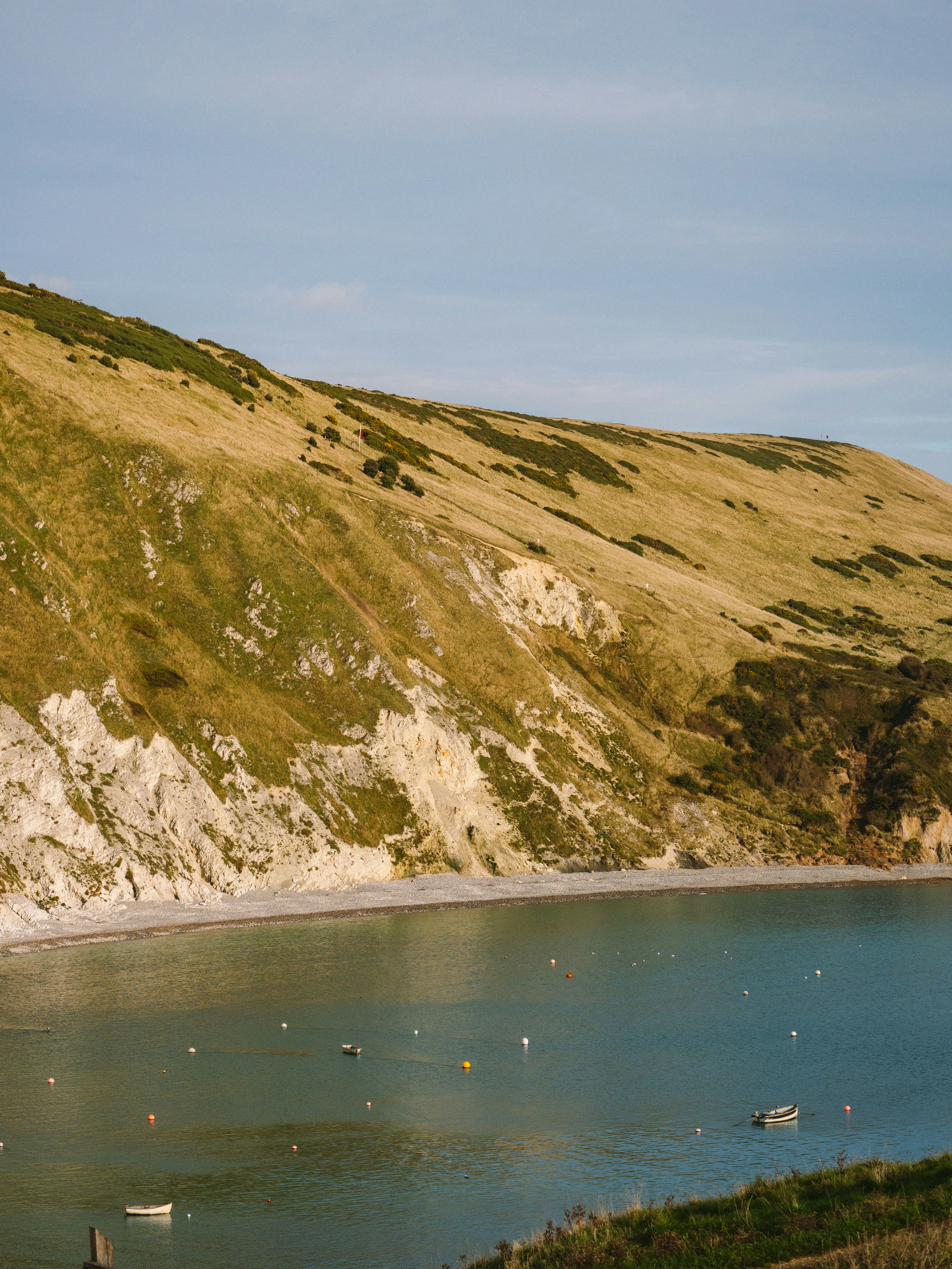 A body of water surrounded by a lush green hillside