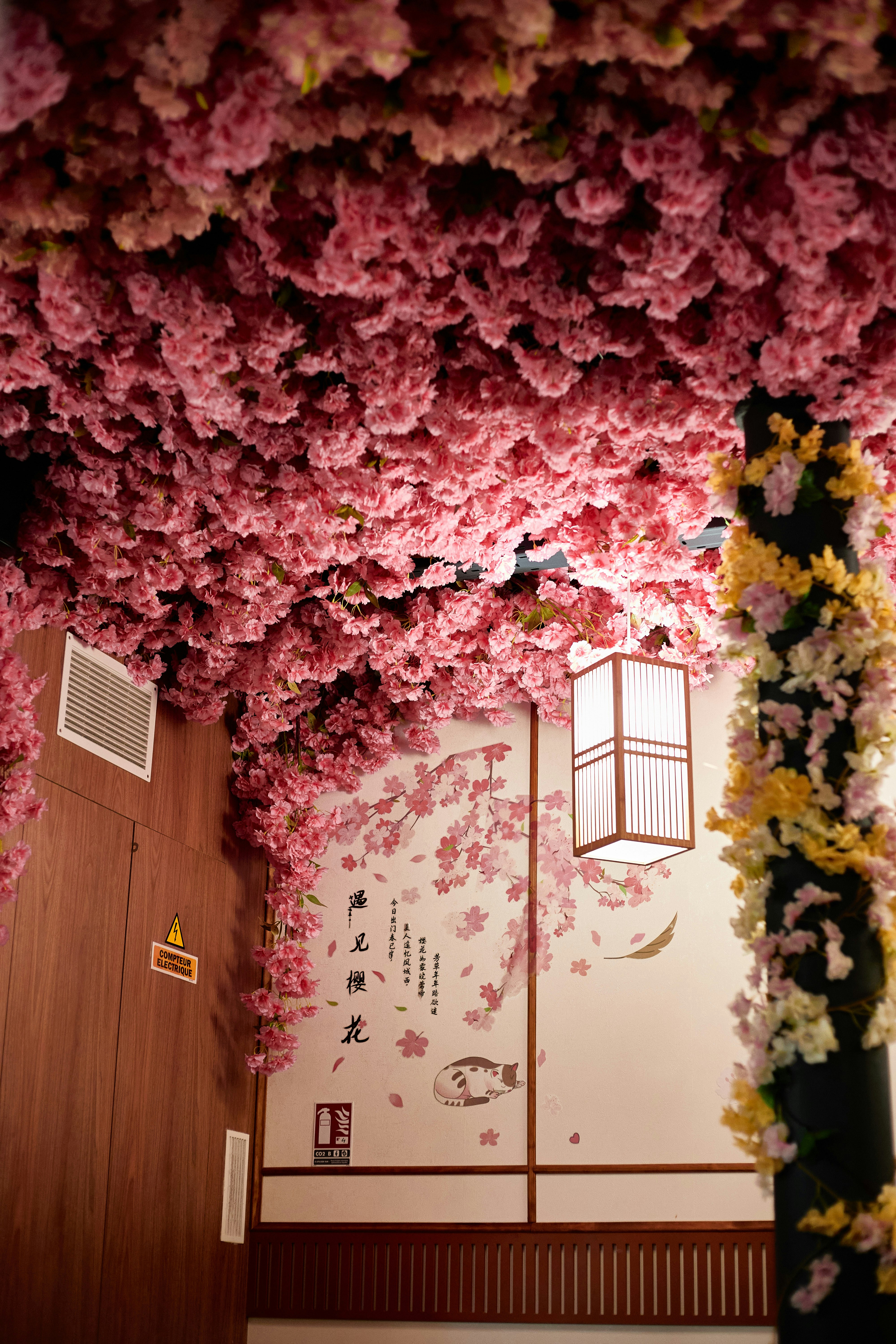 A room that has a bunch of flowers on the ceiling