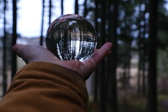 A person holding a crystal ball in their hand