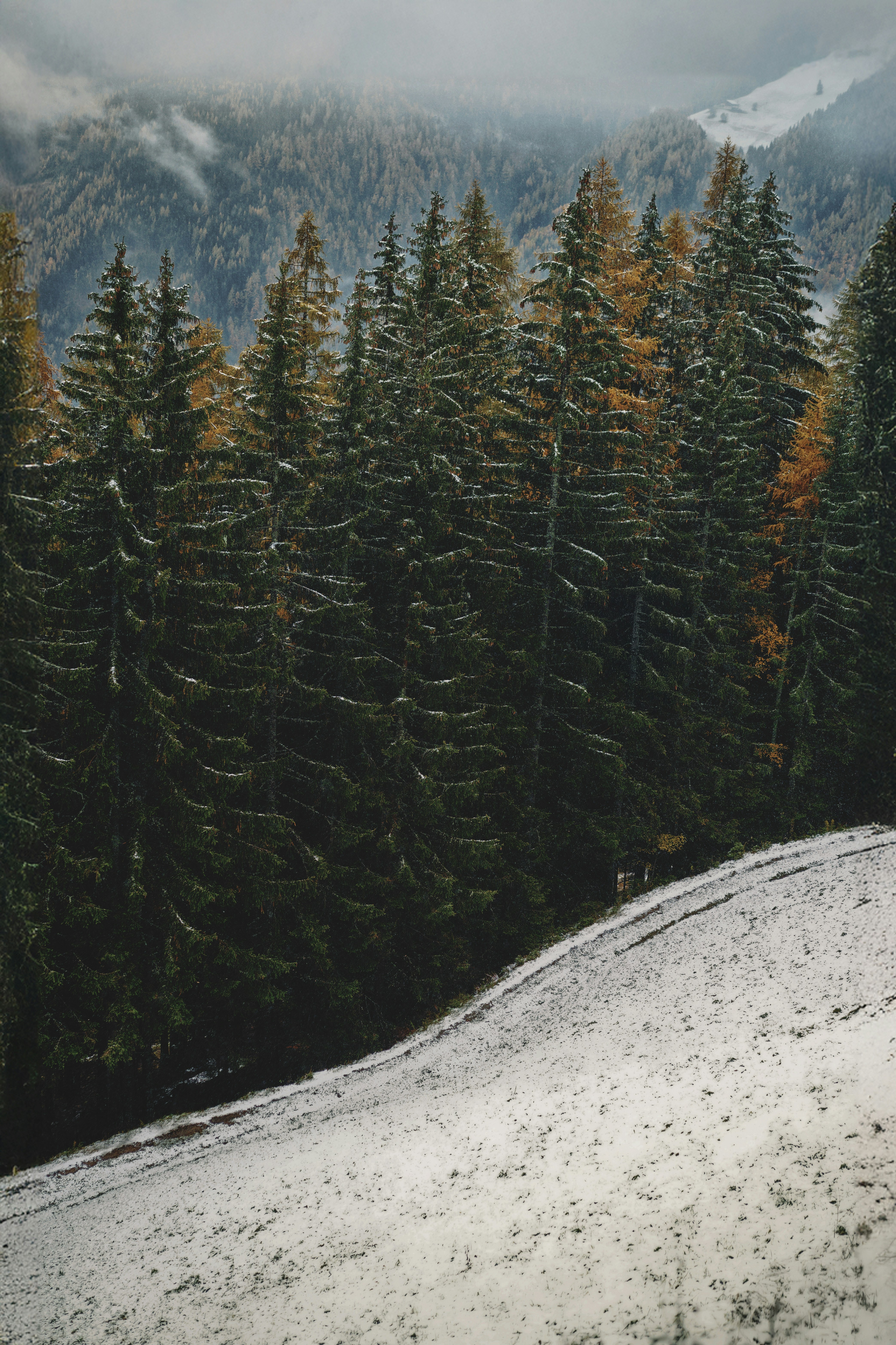 A man riding a snowboard down a snow covered slope