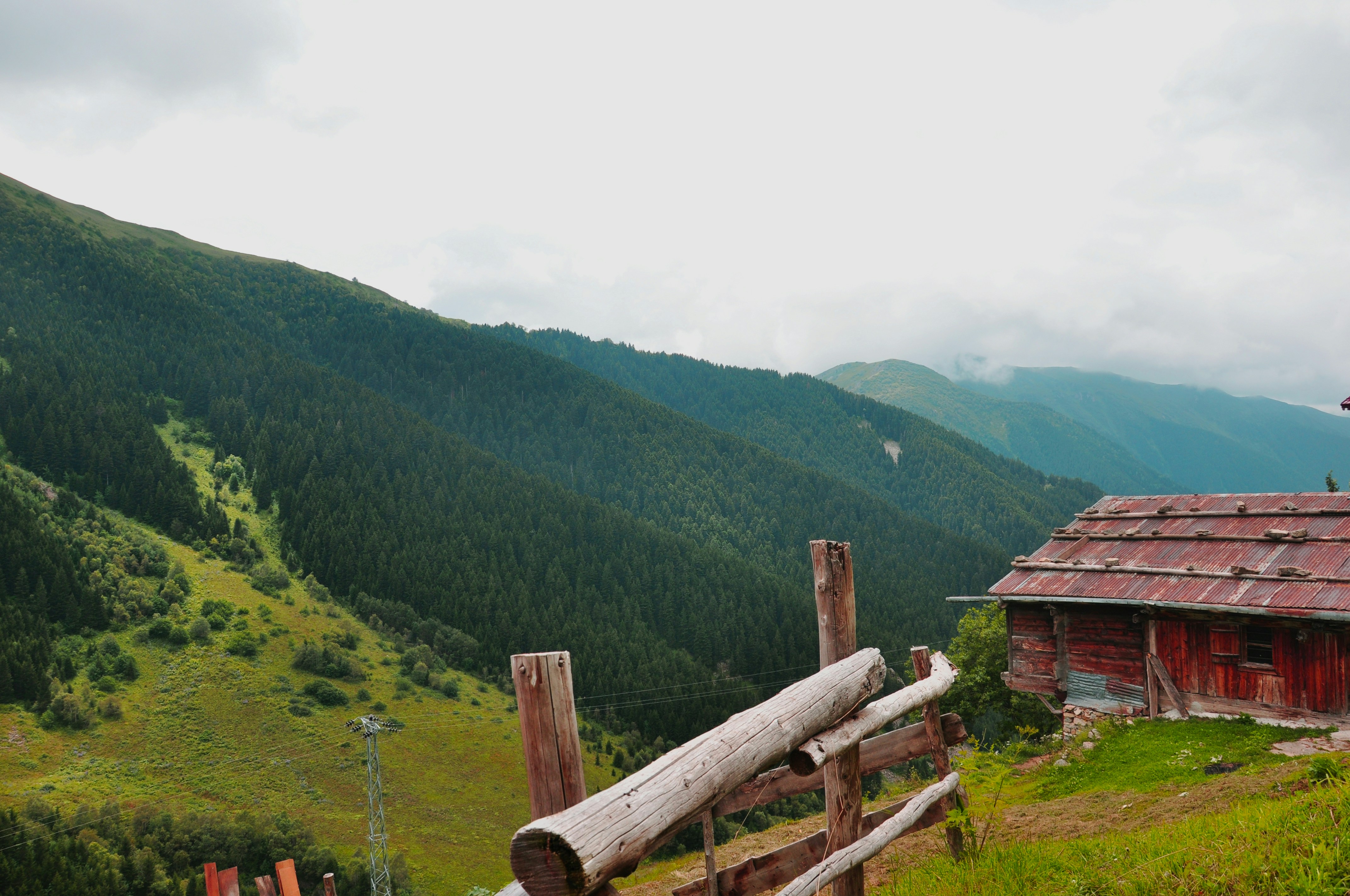 Photo by karakolcubars