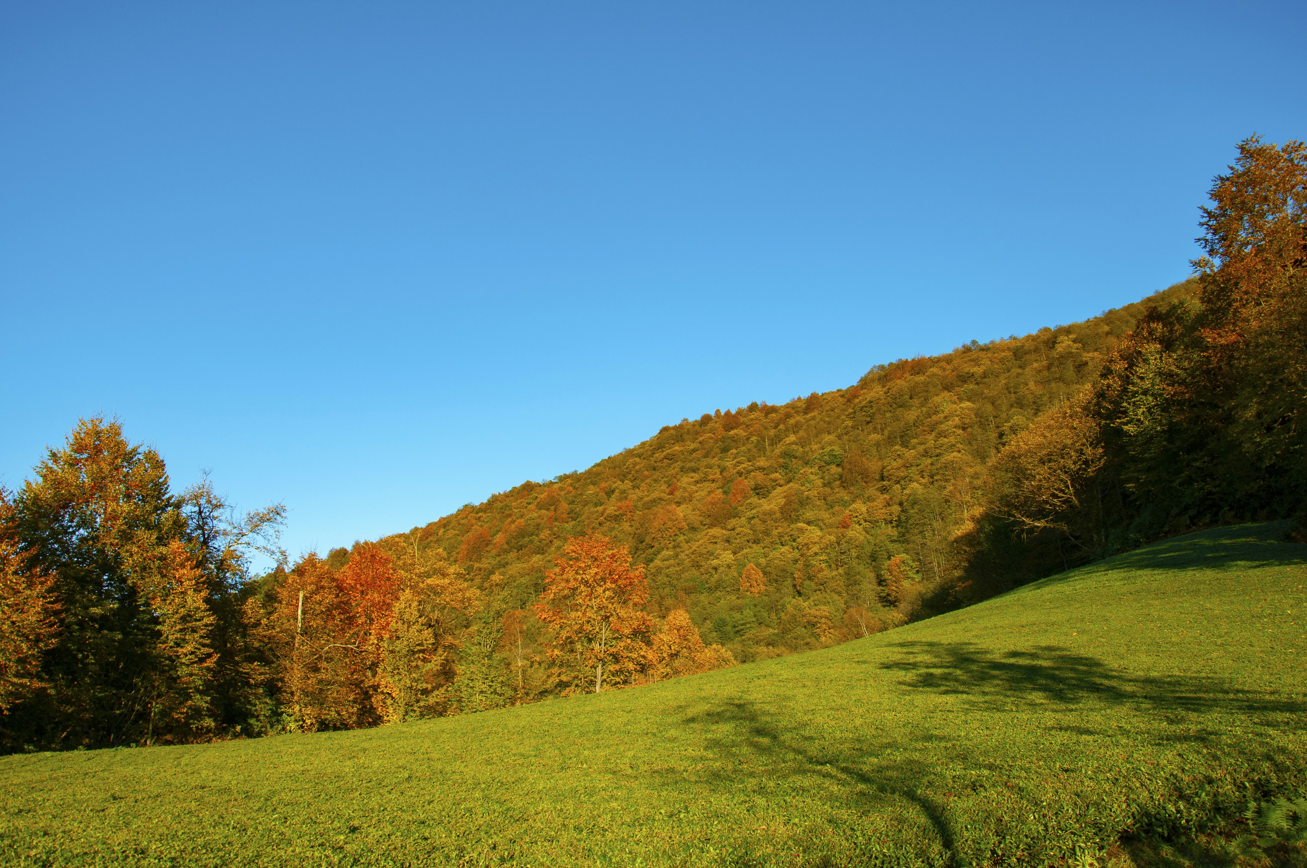 Photo by karakolcubars