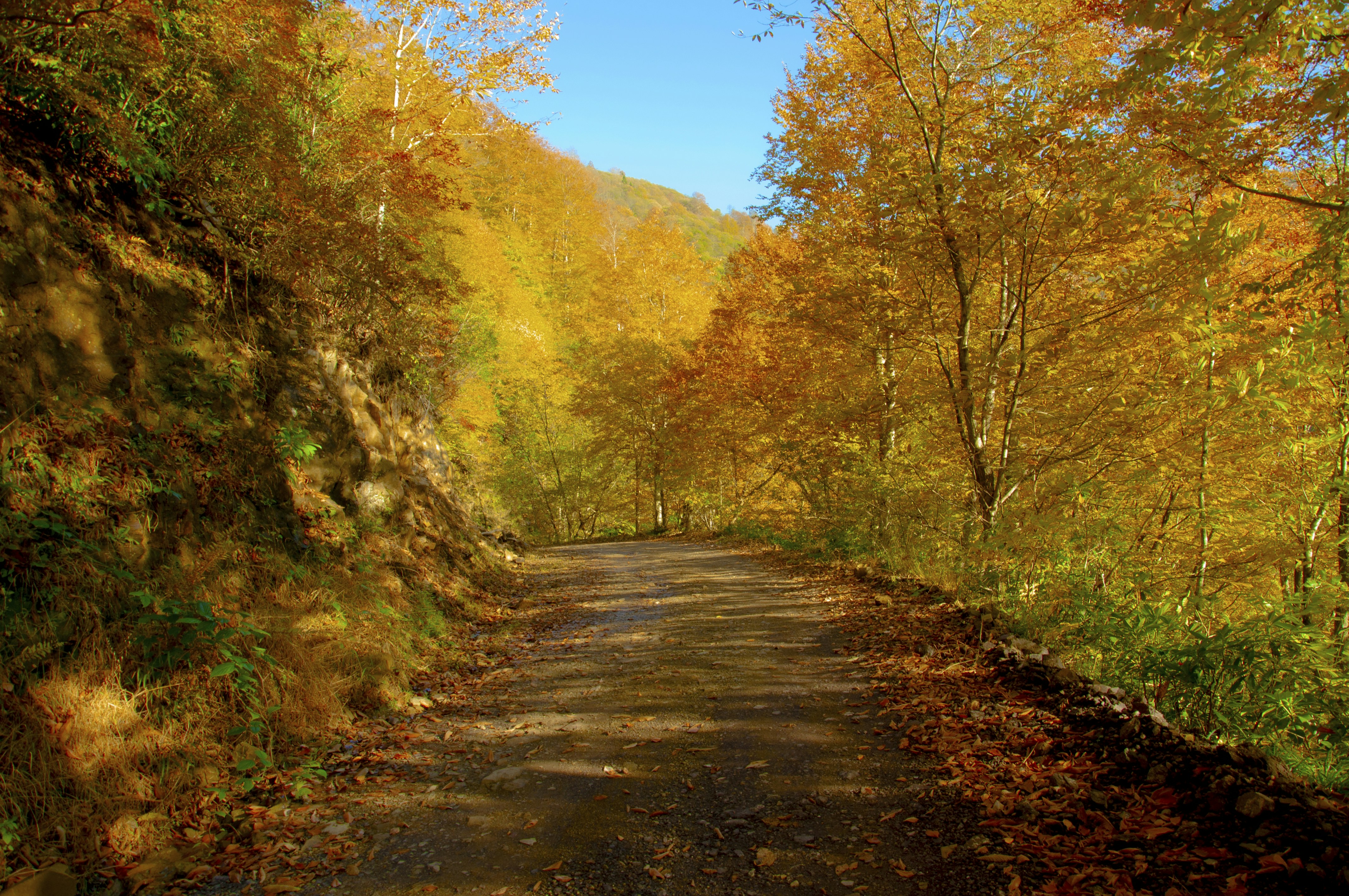 Photo by karakolcubars