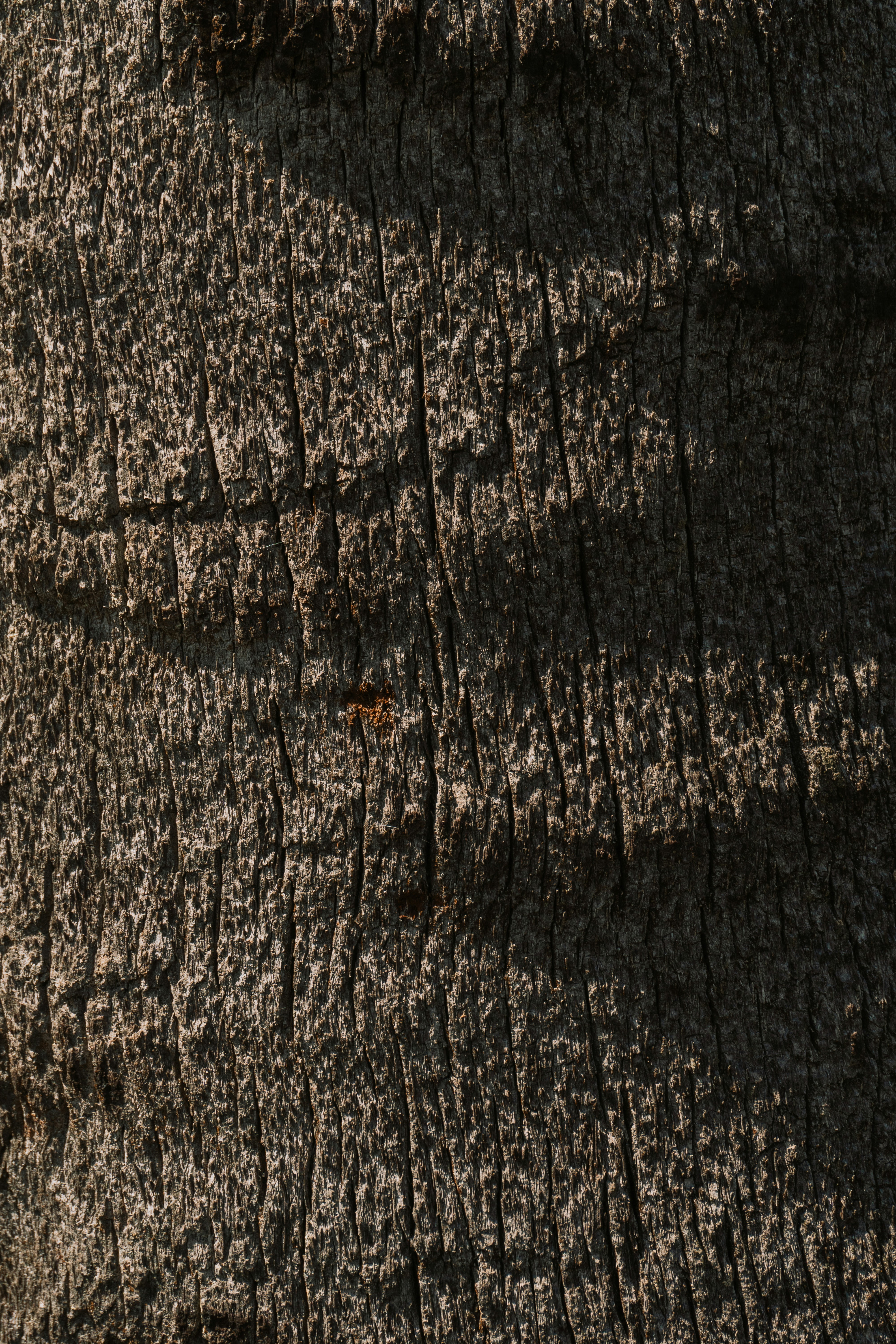 Photo by andreicastanha