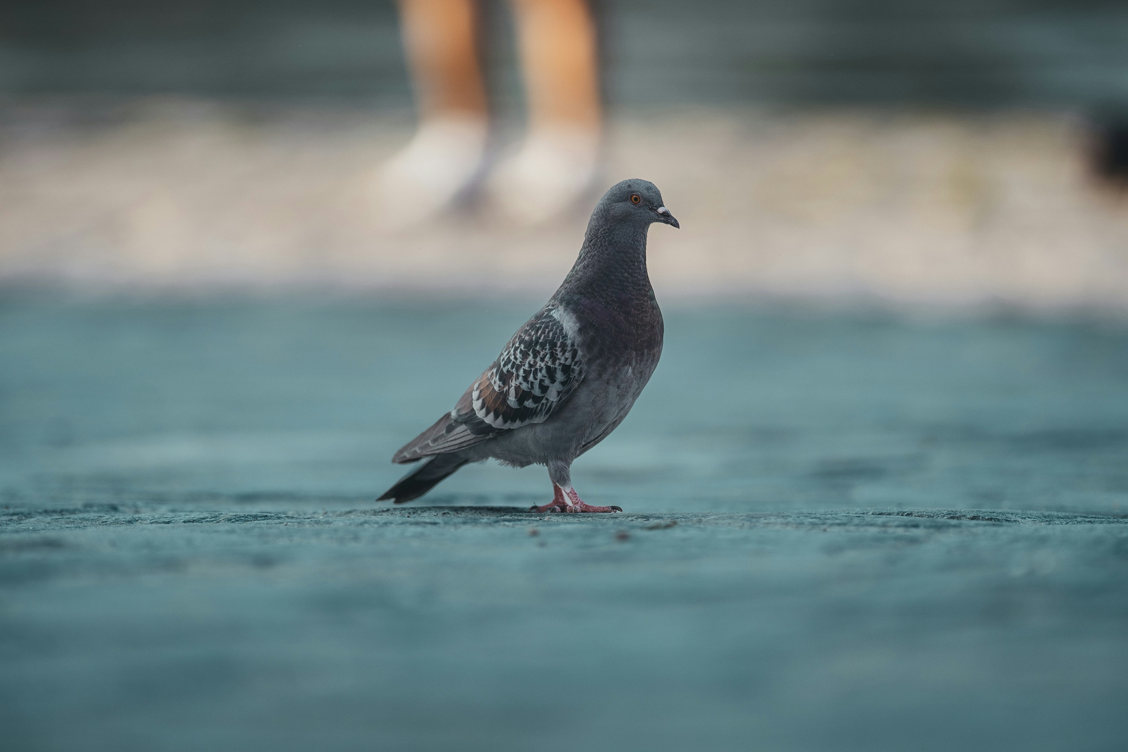 Photo by omarvellous14