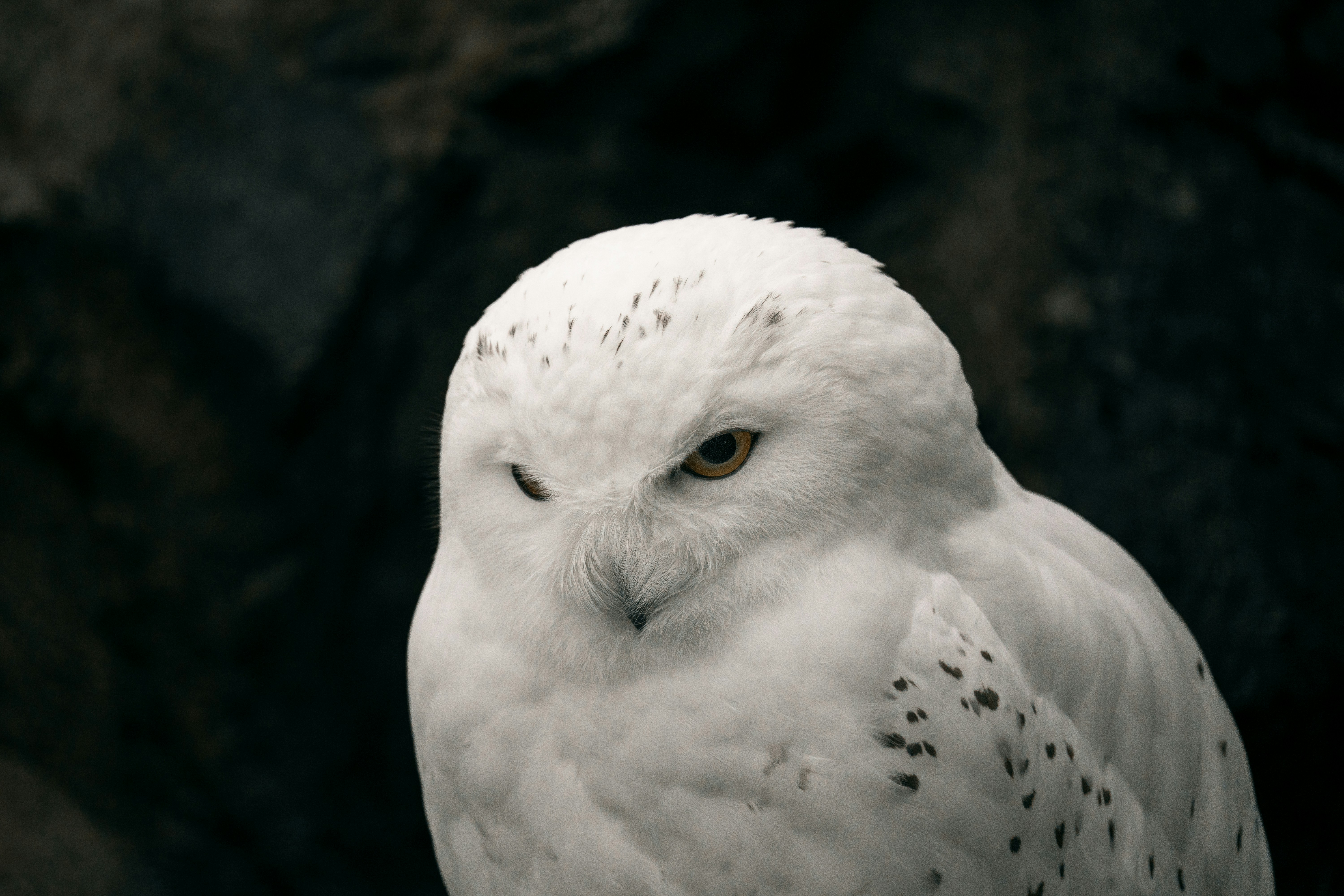 Photo by omarvellous14